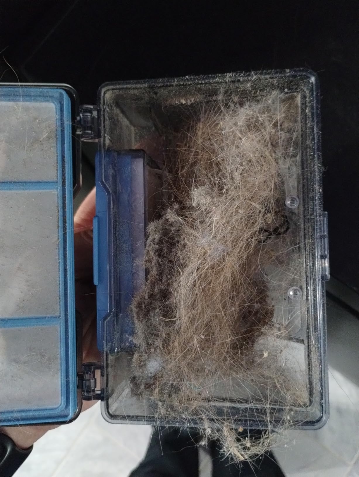 ILIFE V2 Robot Vacuum Cleaner, Tangle-Free Suction, 120 Mins Runtime, Slim, Self-Charging Robotic Vacuum Cleaner, Ideal for Pet Hair and Hard Floors Customer Review ILIFE V2 Robot Vacuum Cleaner, Tangle-Free Suction, 120 Mins Runtime, Slim, Self-Charging Robotic Vacuum Cleaner, Ideal for Pet Hair and Hard Floors - Customer Photo 2