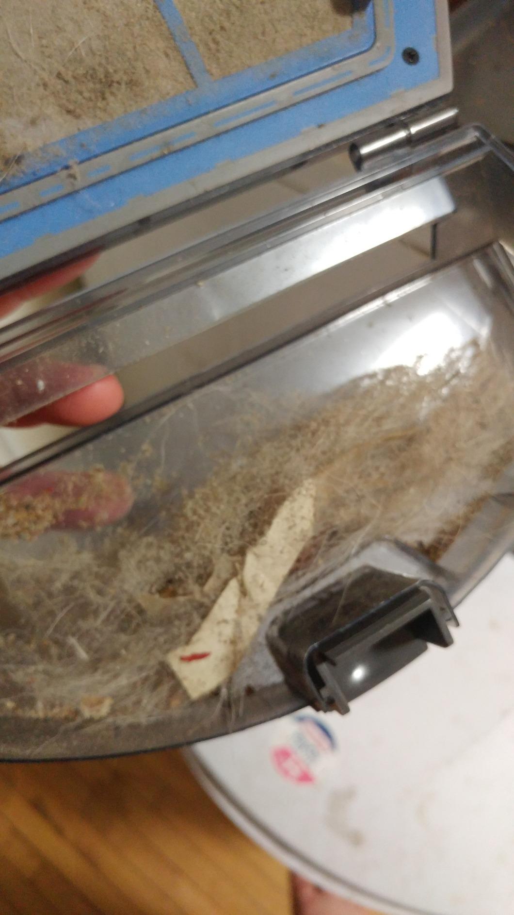 ILIFE V2 Robot Vacuum Cleaner, Tangle-Free Suction, 120 Mins Runtime, Slim, Self-Charging Robotic Vacuum Cleaner, Ideal for Pet Hair and Hard Floors Customer Review ILIFE V2 Robot Vacuum Cleaner, Tangle-Free Suction, 120 Mins Runtime, Slim, Self-Charging Robotic Vacuum Cleaner, Ideal for Pet Hair and Hard Floors - Customer Photo 3