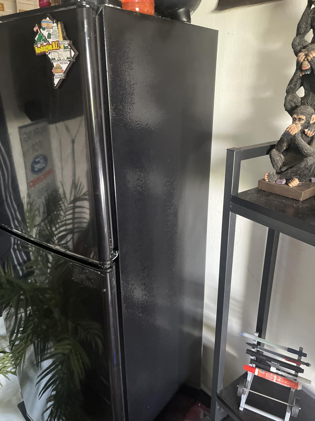 5.0 Cu.Ft Fridge with Freezer, Dual Door Refrigerator with 7 Settings Temperature Adjustable, Small Fridge for Dorm Office Apartment and Home (Black, 5.0 Cu.Ft) - Customer Photo 1