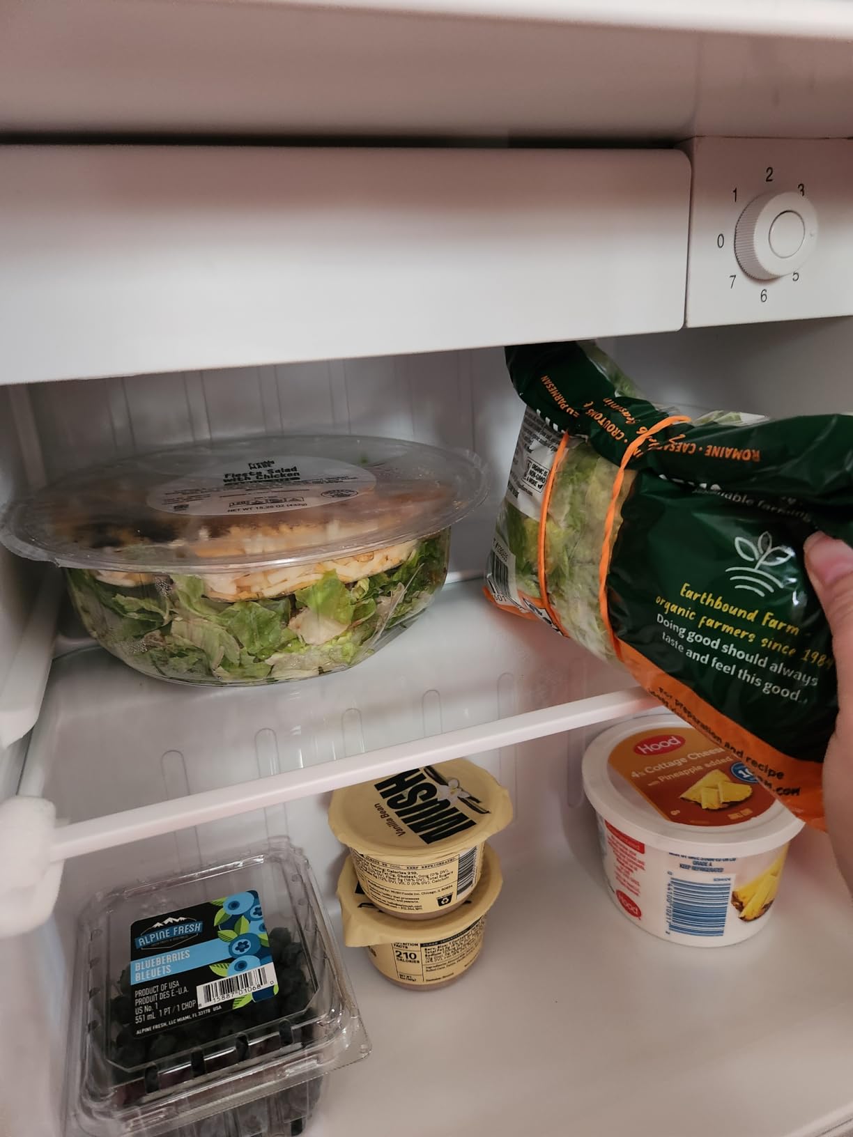 20 Cu.ft. Large Refrigerator Fridge, 2 French Door Stainless Steel with Water Dispensor, Ice Maker for the Kitchen - Customer Photo 1