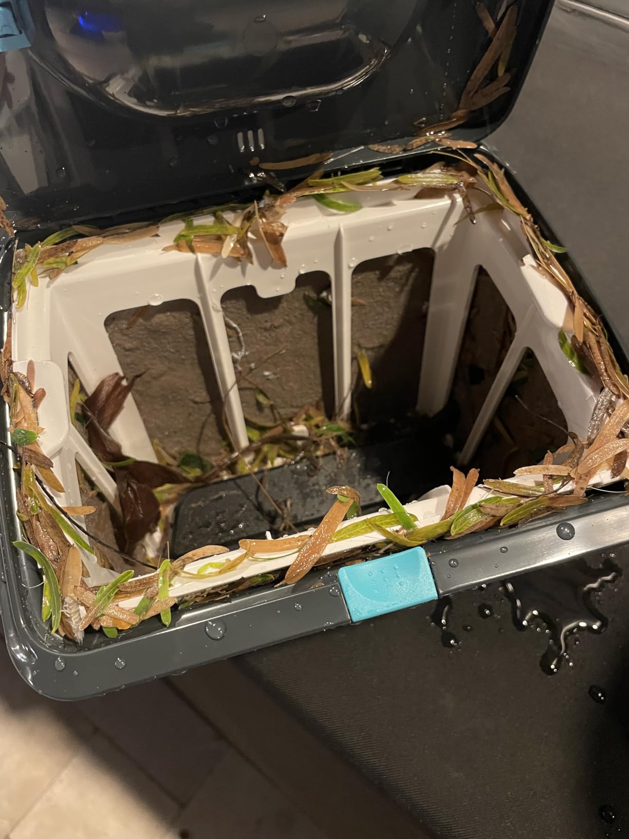 (2025 Upgrade) Aiper Scuba S1 Robotic Pool Cleaner, Wall & Waterline Cleaning, Double Filtration, Extended 180-Min Battery Life, Smart Navigation, App Support, OTA Upgrade Customer Review (2025 Upgrade) Aiper Scuba S1 Robotic Pool Cleaner, Wall & Waterline Cleaning, Double Filtration, Extended 180-Min Battery Life, Smart Navigation, App Support, OTA Upgrade - Customer Photo 2