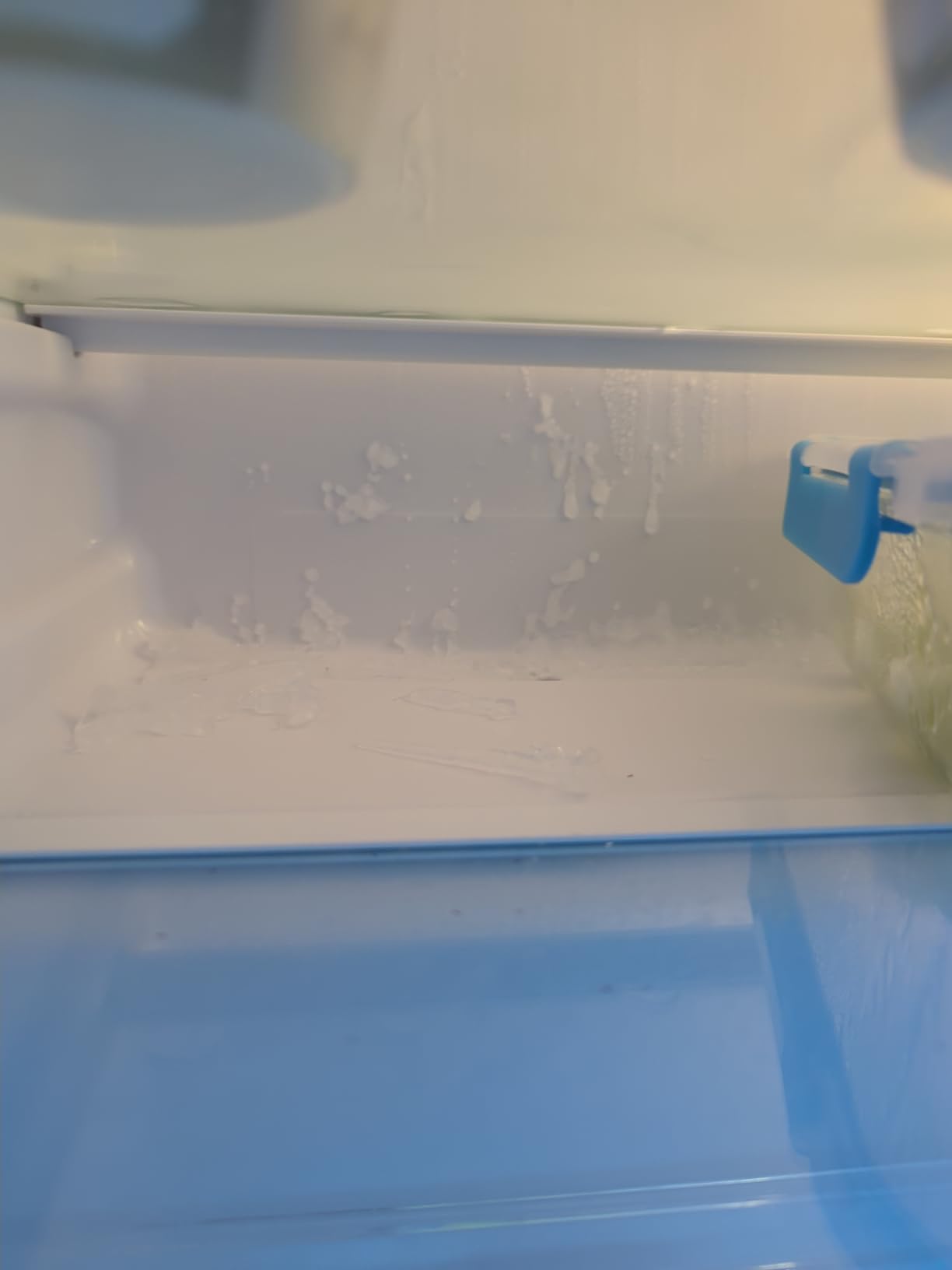 COWSAR 20 Cu.ft. French Door Refrigerator with Nugget & Cube Ice Maker, External Water Dispenser, Stainless Steel, Smart Digital Controls – Large Capacity, Energy Efficient, Fingerprint-Resistant - Customer Photo 1