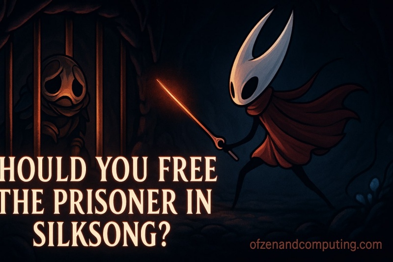 Silksong Prisoner Choice Guide