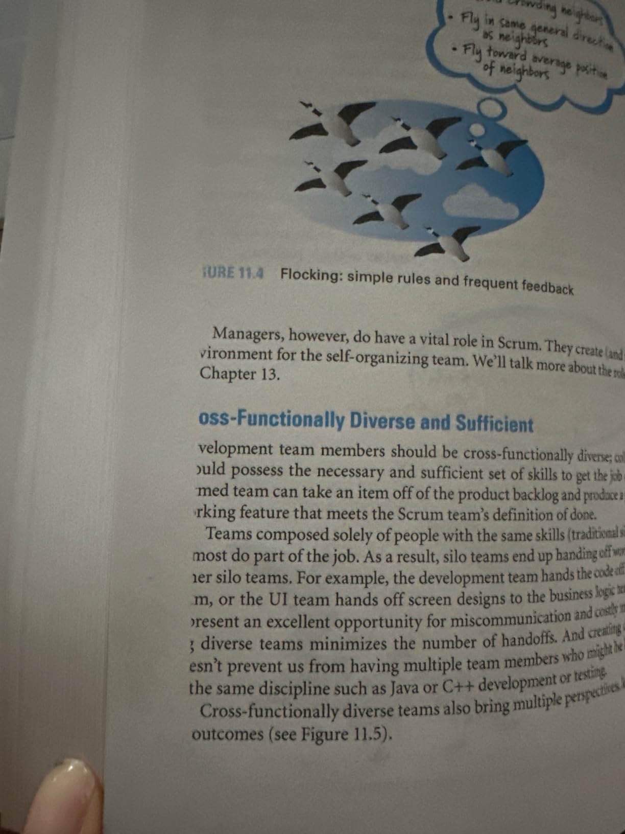 Essential Scrum: A Practical Guide to the Most Popular Agile Process (Addison-Wesley Signature Series (Cohn)) - Customer Photo 2