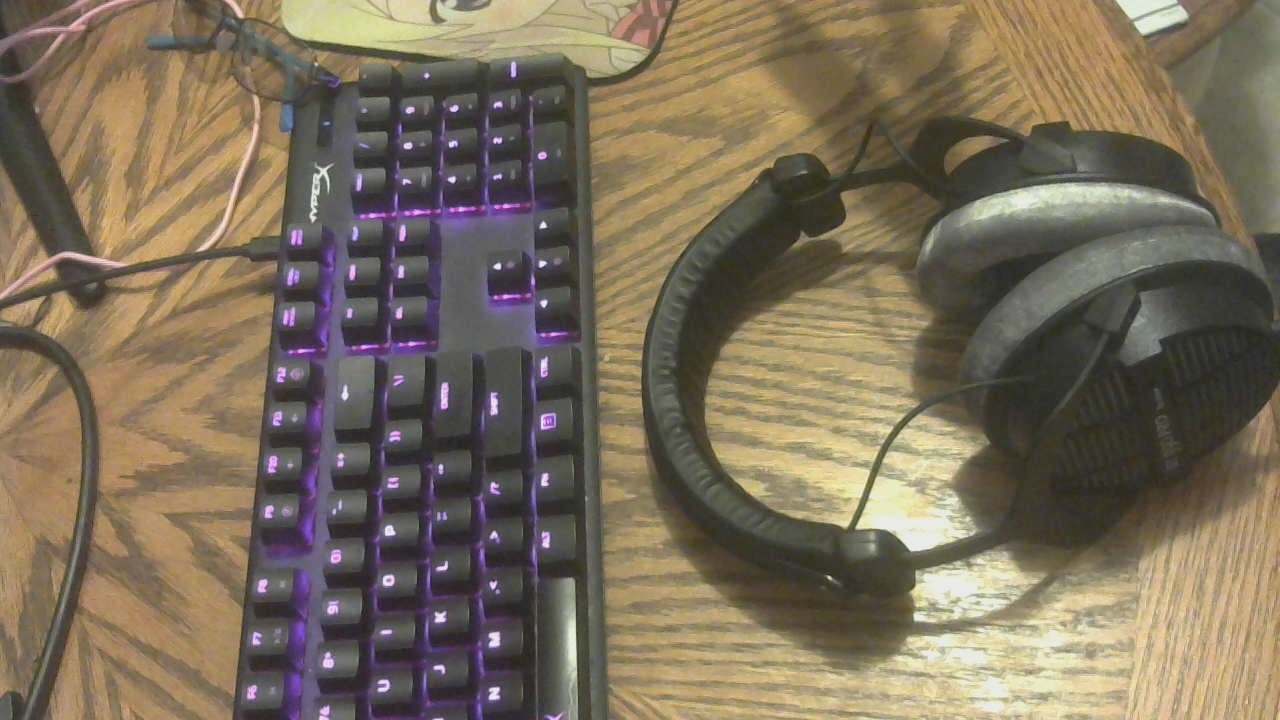 beyerdynamic DT 990 Pro 250 ohm Over-Ear Studio Headphones for Mixing, Mastering, and Editing - Customer Photo 1