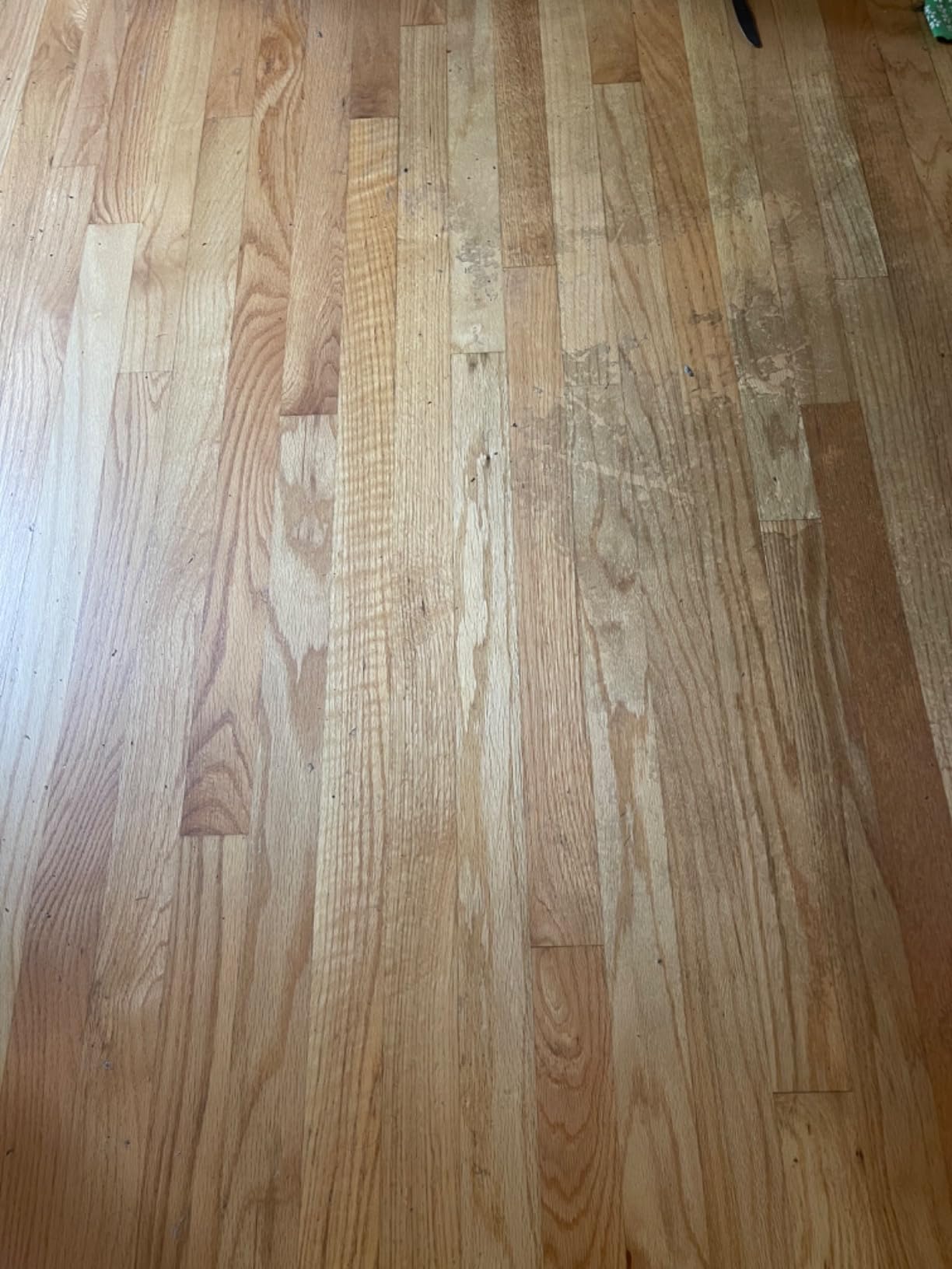 Bissell Power Fresh Steam Mop with Natural Sanitization, Floor Steamer, Tile Cleaner, and Hard Wood Floor Cleaner with Flip-Down Easy Scrubber, 1940A - Customer Photo 4