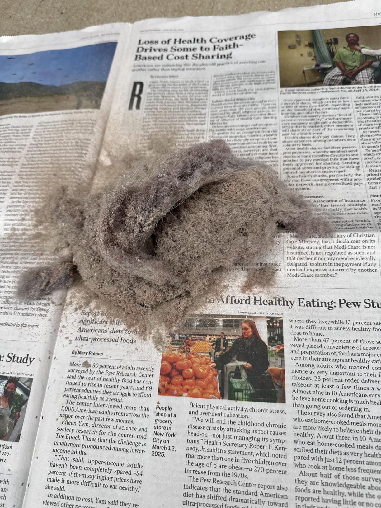 Dyson V11 Origin Cordless Vacuum, 185AW, 3 Power Modes, Up to 60 Minutes,² Deep Cleans Hard Floors and Carpets, Detangles pet Hair, Converts to Handheld - Customer Photo 2