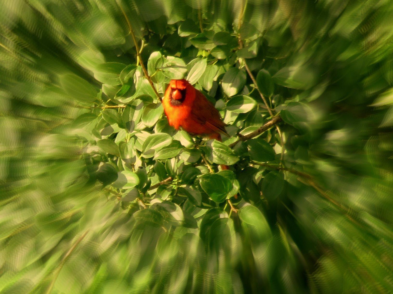 Canon Pixma iX6820 Wireless Business Printer with AirPrint and Cloud Compatible, Black Customer Review Canon Pixma iX6820 Wireless Business Printer with AirPrint and Cloud Compatible, Black - Customer Photo 1