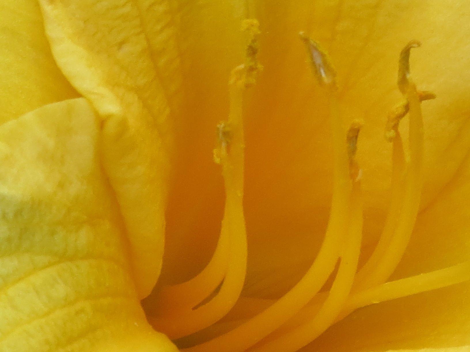 Canon Pixma iX6820 Wireless Business Printer with AirPrint and Cloud Compatible, Black Customer Review Canon Pixma iX6820 Wireless Business Printer with AirPrint and Cloud Compatible, Black - Customer Photo 2