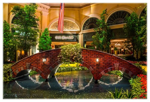 Nikon D3200 24.2 MP CMOS Digital SLR with 18-55mm f/3.5-5.6 AF-S DX NIKKOR Zoom Lens (Renewed) Customer Review Nikon D3200 24.2 MP CMOS Digital SLR with 18-55mm f/3.5-5.6 AF-S DX NIKKOR Zoom Lens (Renewed) - Customer Photo 2