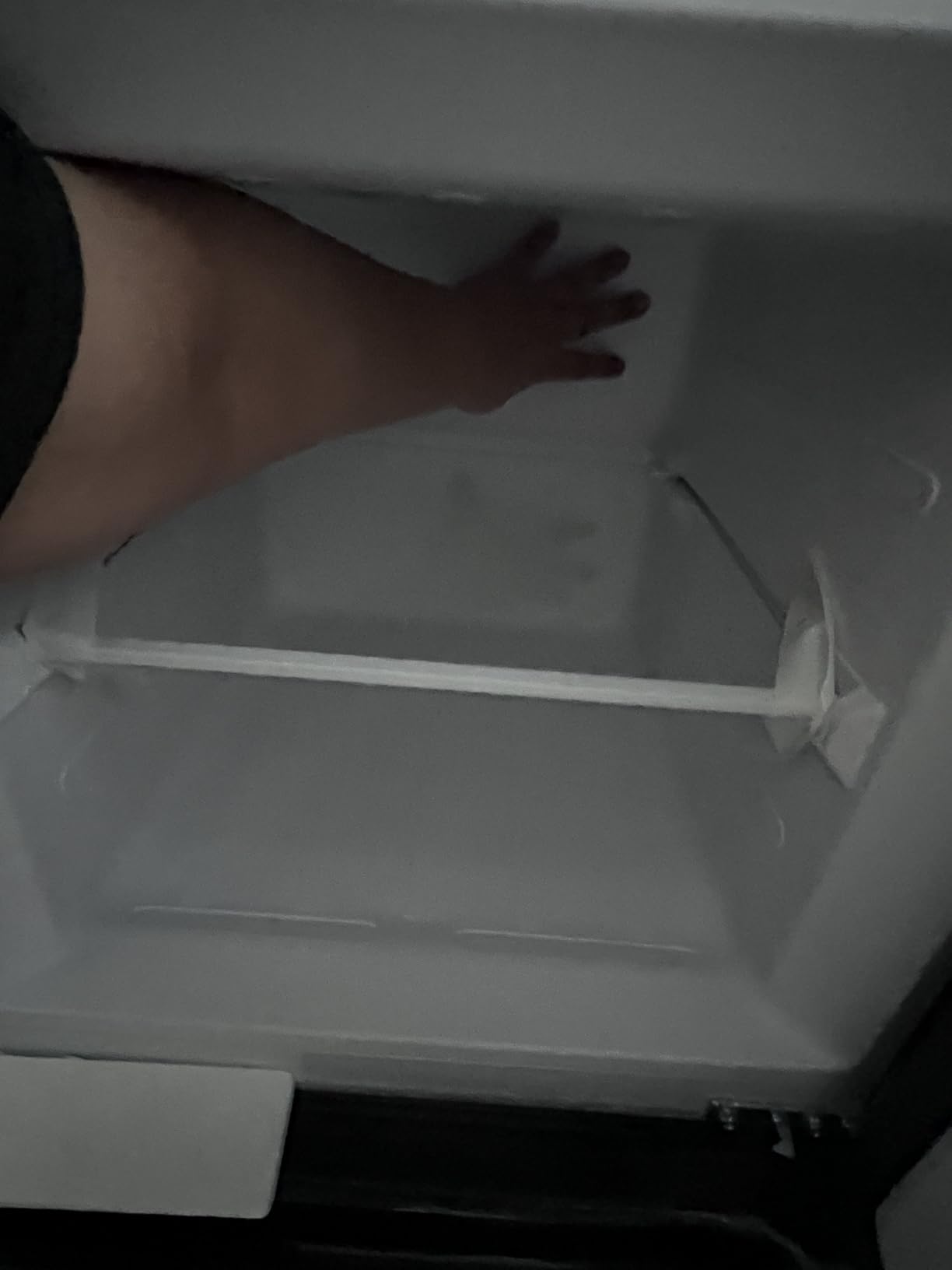 Midea WHD-113FSS1 Compact Refrigerator, 3.1 cu ft, Stainless Steel Customer Review Midea WHD-113FSS1 Compact Refrigerator, 3.1 cu ft, Stainless Steel - Customer Photo 2