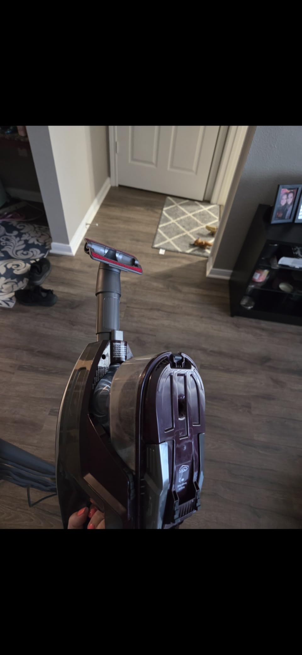 Shark HV322 Rocket Deluxe Pro Corded Stick Vacuum with LED Headlights, XL Dust Cup, Lightweight, Perfect for Pet Hair Pickup, Converts to a Hand Vacuum, with Pet Attachments, Bordeaux/Silver - Customer Photo 2