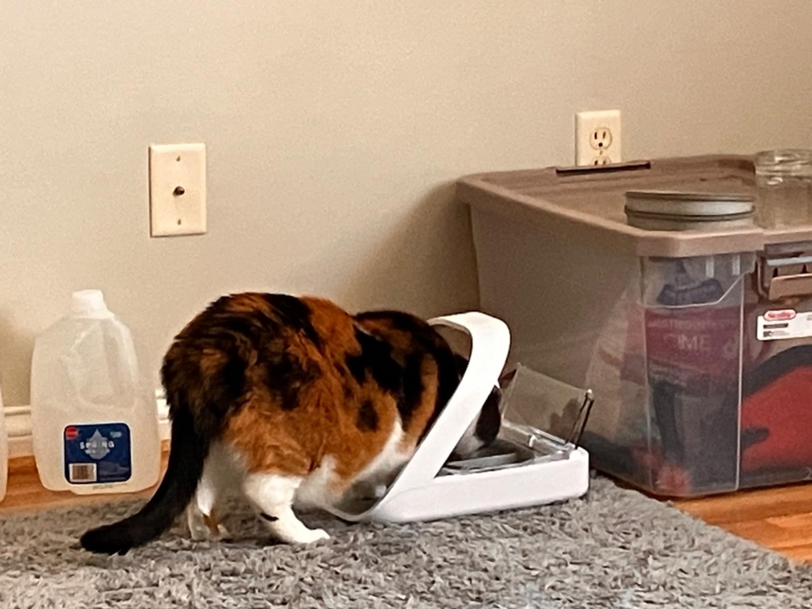 Sure Petcare -SureFlap - SureFeed - Microchip Pet Feeder - Selective-Automatic Pet Feeder Makes Meal Times Stress-Free, Suitable for Both Wet and Dry Food - MPF001 - Customer Photo 2
