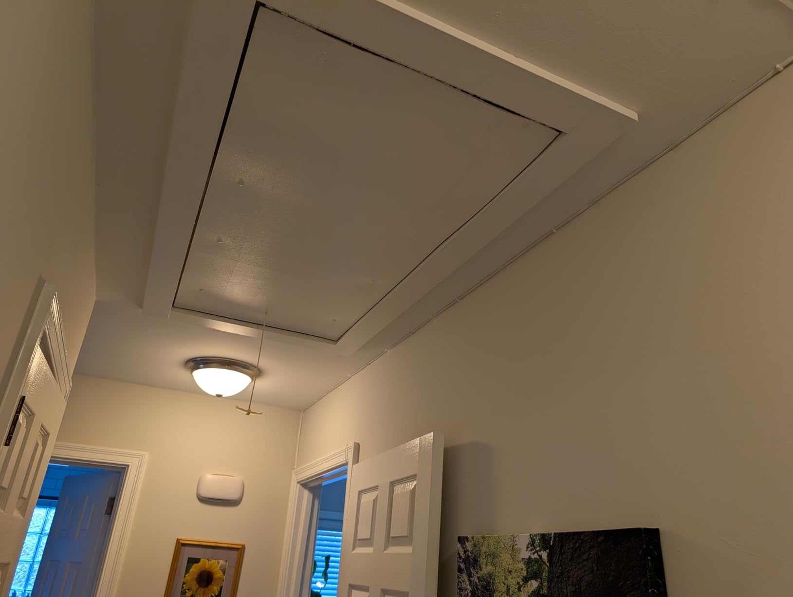 Jadaol Cat 6 Ethernet Cable 50 ft, Outdoor & Indoor 10Gbps Support Cat8 Cat7 Network, Flat RJ45 Internet LAN Computer Patch Cable for Router, Modem, Switch, Gaming Consoles, Streaming Devices, White - Customer Photo 3