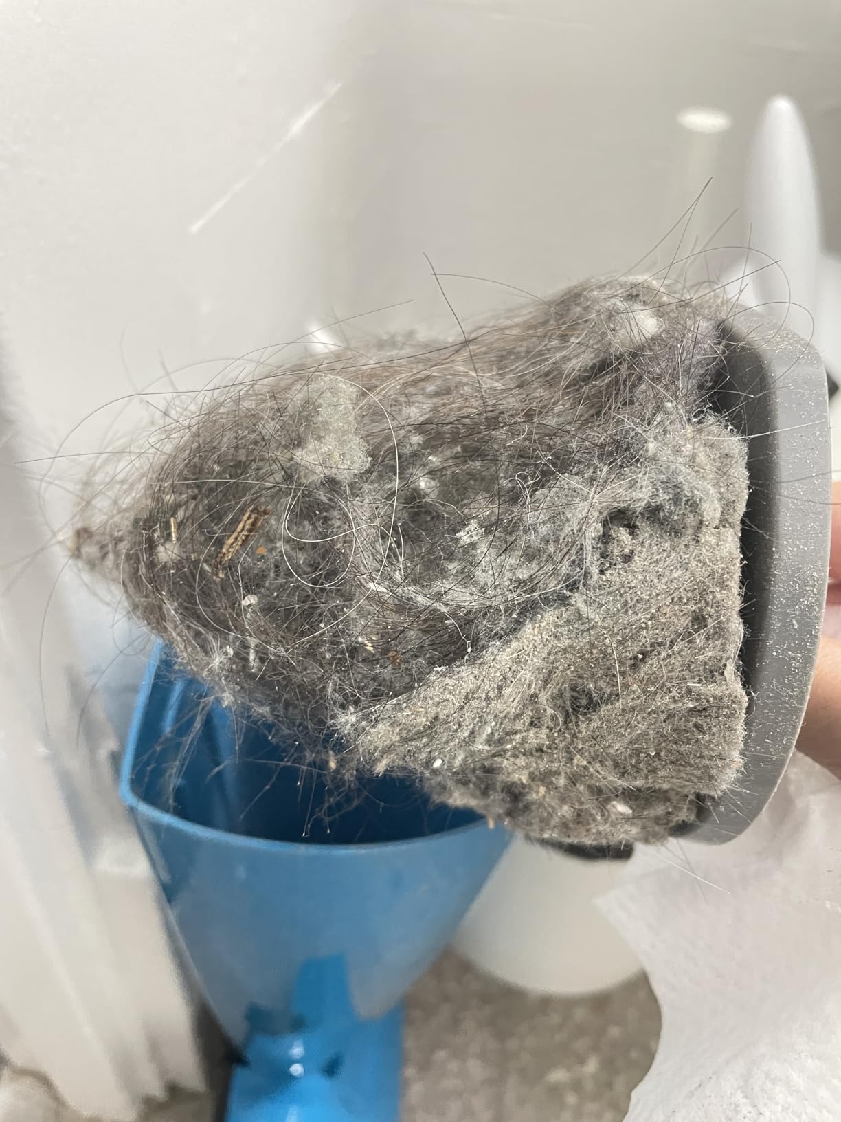 Bissell Featherweight Stick Lightweight Bagless Vacuum with Crevice Tool, 2033, One Size Fits All, Blue - Customer Photo 2