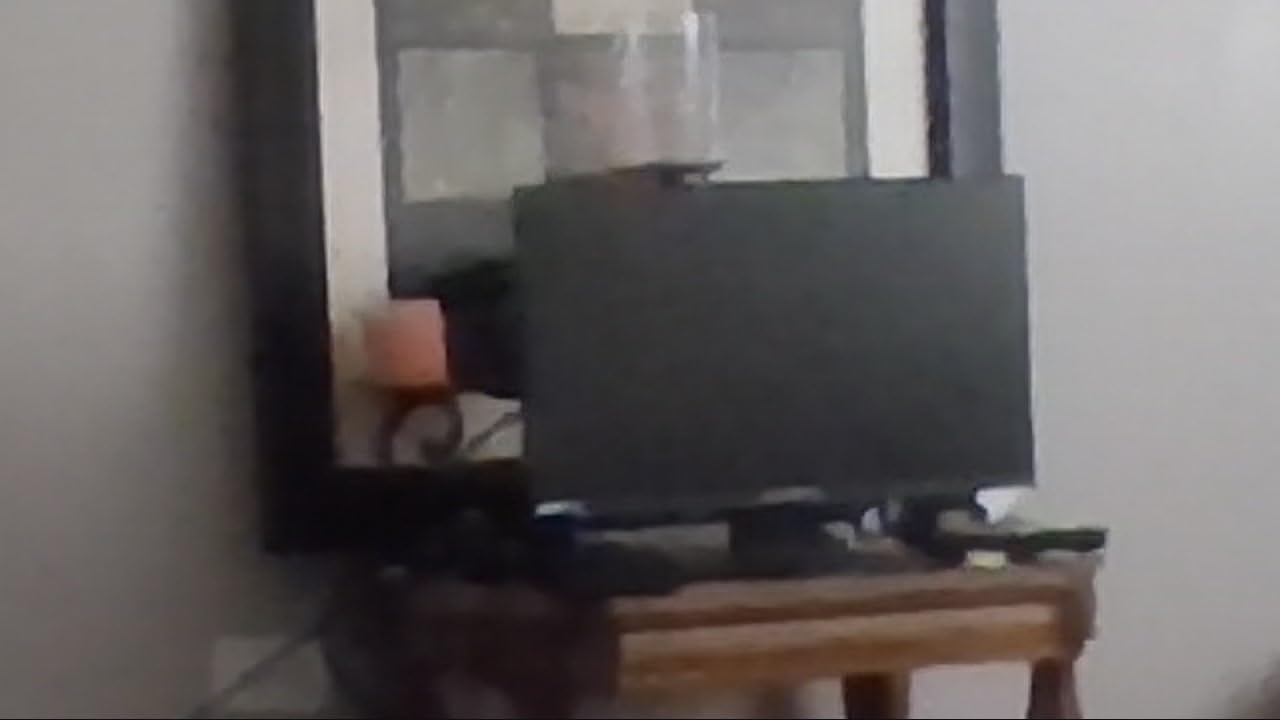 Sceptre 24-inch Prime Monitor Thin 1080p LED Monitor 99% sRGB 2x HDMI VGA Build-in Speakers, Machine Black (E248W-19203R 2025 Series) - Customer Photo 1