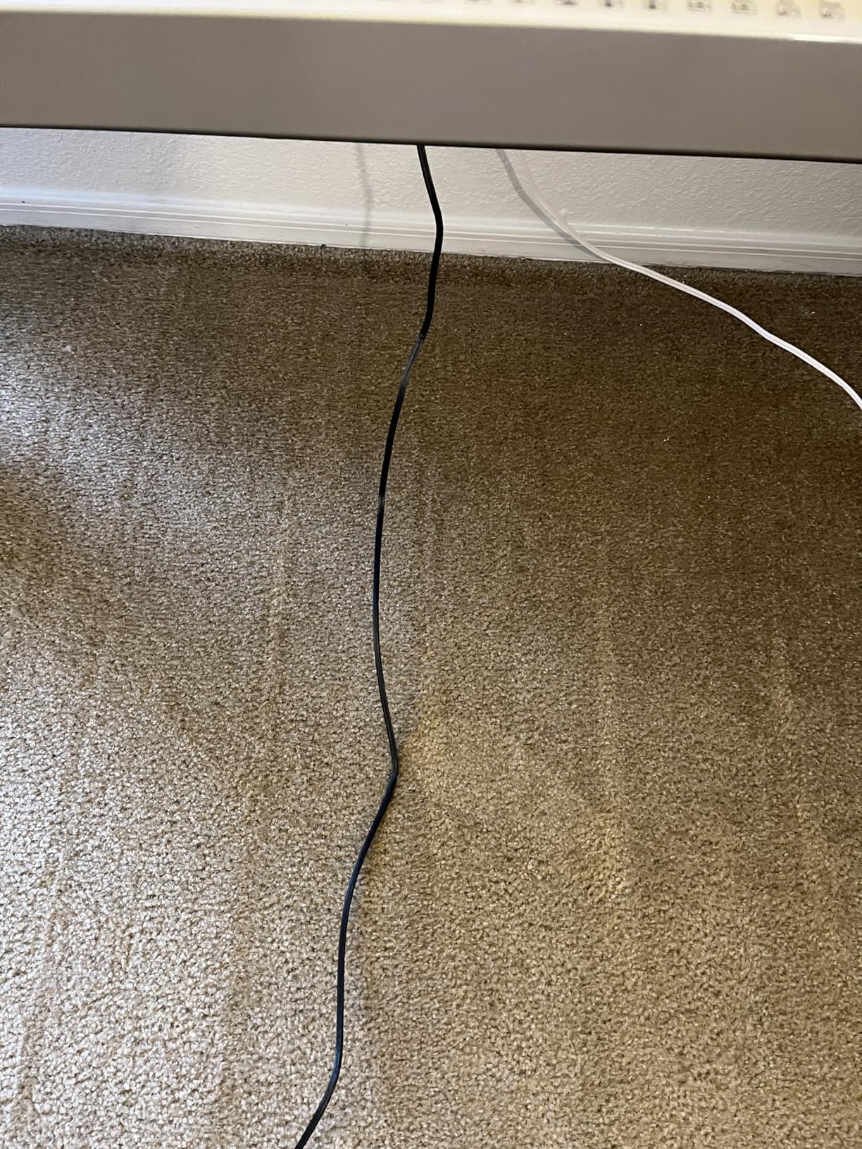 Hoover PowerDash Pet Compact Carpet Cleaner Machine, Lightweight Shampooer Machine, Pair with a Hoover Carpet Cleaner Solution for a Bright, Refreshed Home Customer Review Hoover PowerDash Pet Compact Carpet Cleaner Machine, Lightweight Shampooer Machine, Pair with a Hoover Carpet Cleaner Solution for a Bright, Refreshed Home - Customer Photo 2