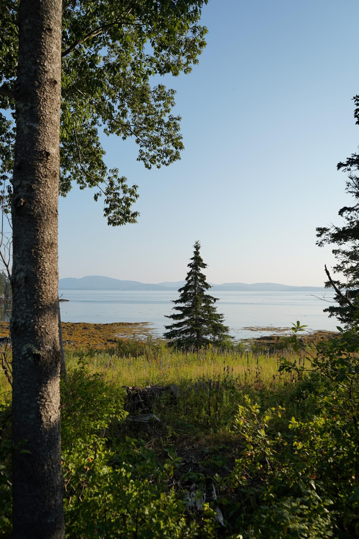 Sony a7 III (ILCEM3K/B) Full-frame Mirrorless Interchangeable-Lens Camera with 28-70mm Lens with 3-Inch LCD, Black Customer Review Sony a7 III (ILCEM3K/B) Full-frame Mirrorless Interchangeable-Lens Camera with 28-70mm Lens with 3-Inch LCD, Black - Customer Photo 2