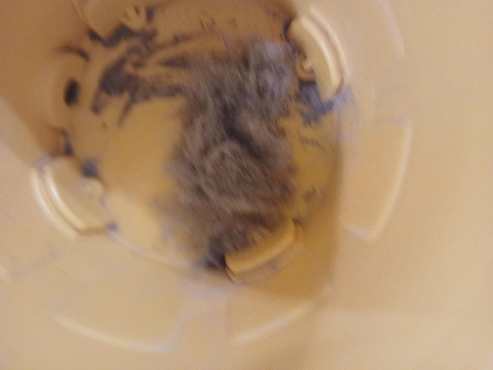 DEWALT 12 Gallon Poly Wet/Dry Vac, 5.5 HP Shop Vacuum Wet Vacuum Cleaner for Workshop, Jobsite, Commericial Area, Large Pick-Up Capacity, Yellow,DXV12P Customer Review DEWALT 12 Gallon Poly Wet/Dry Vac, 5.5 HP Shop Vacuum Wet Vacuum Cleaner for Workshop, Jobsite, Commericial Area, Large Pick-Up Capacity, Yellow,DXV12P - Customer Photo 1