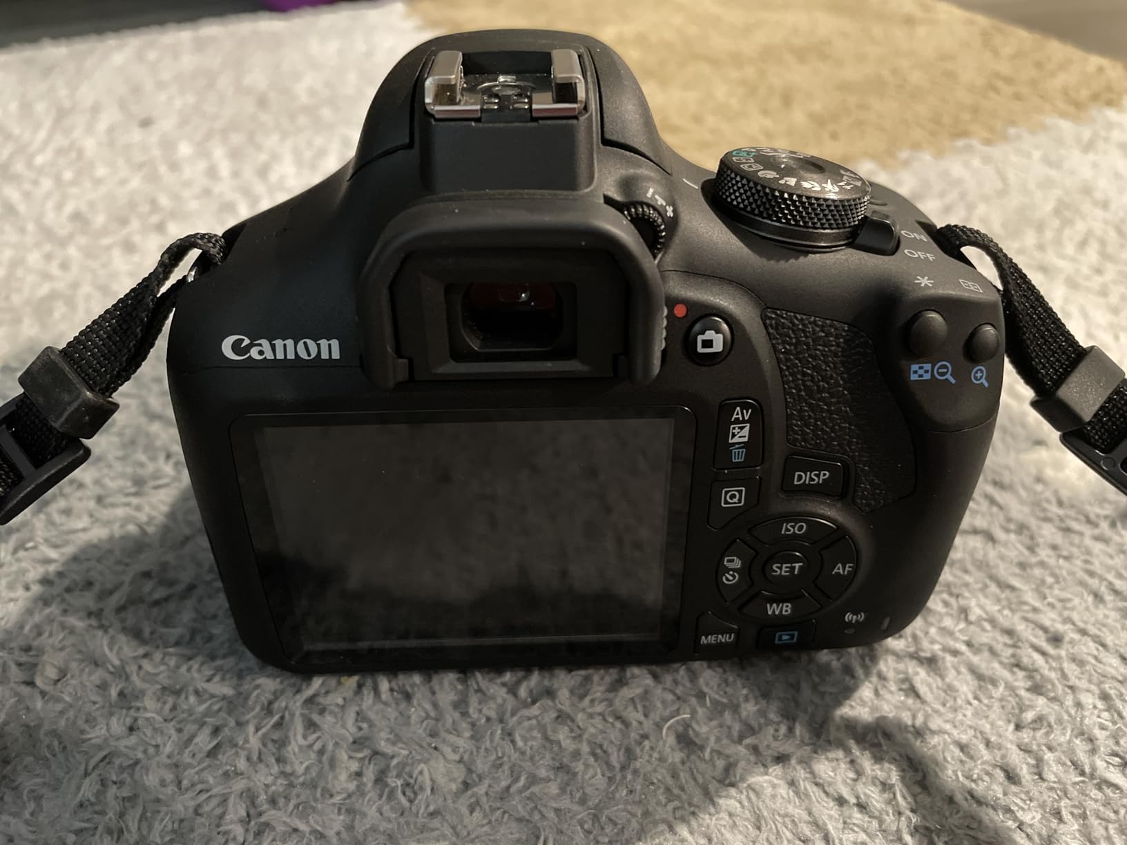 Canon EOS Rebel T7 DSLR Camera with 18-55mm Lens | Built-in Wi-Fi | 24.1 MP CMOS Sensor | DIGIC 4+ Image Processor and Full HD Videos Customer Review Canon EOS Rebel T7 DSLR Camera with 18-55mm Lens | Built-in Wi-Fi | 24.1 MP CMOS Sensor | DIGIC 4+ Image Processor and Full HD Videos - Customer Photo 1