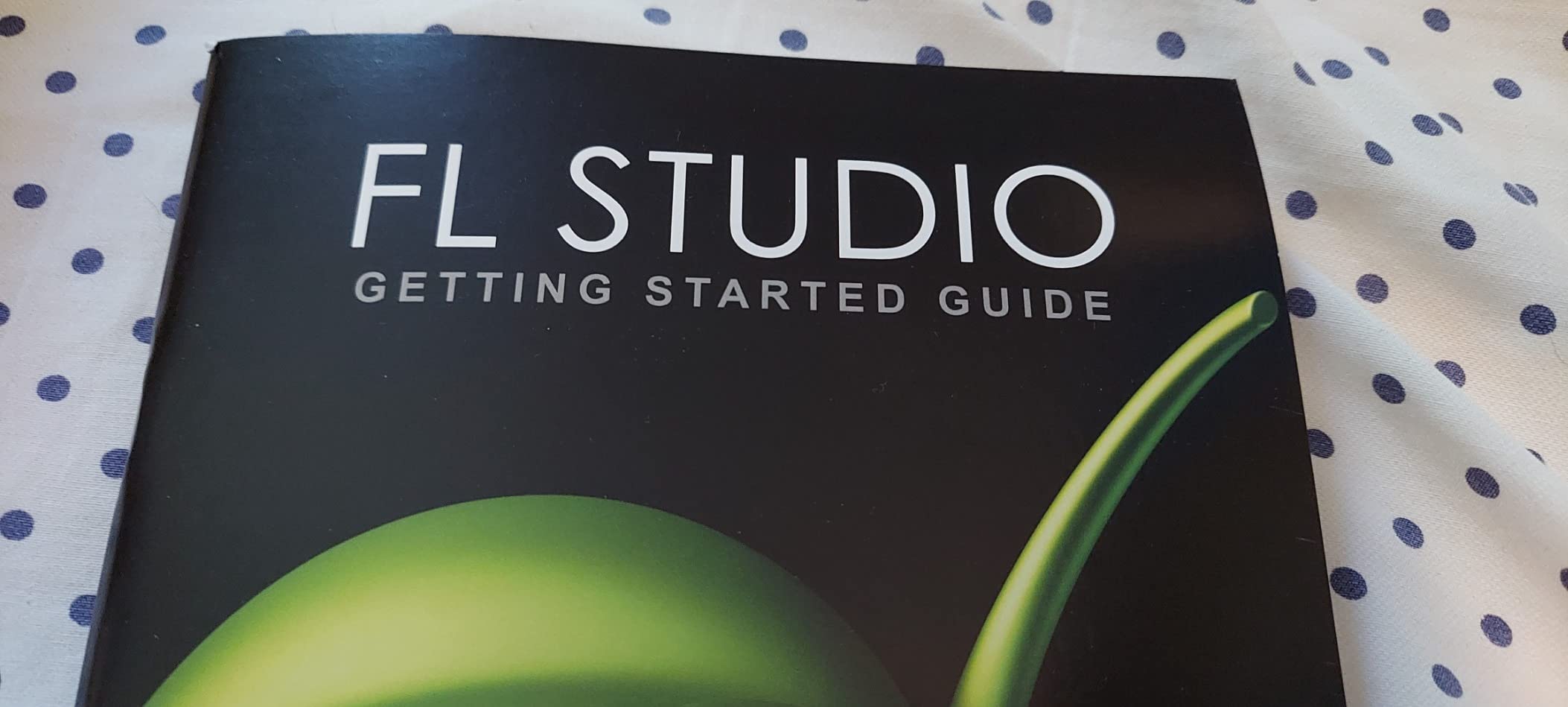 Image Line FL Studio 20 Producer Edition - Customer Photo 1