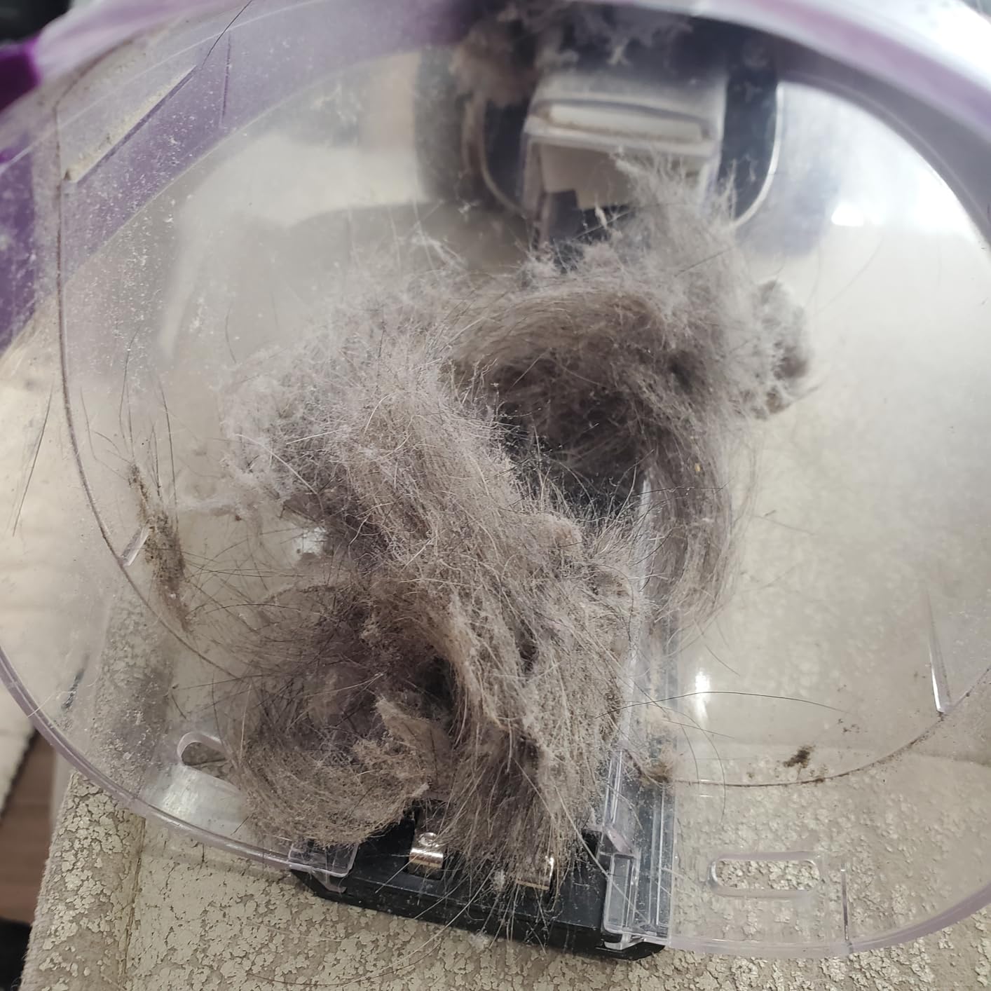 BISSELL Pet Hair Eraser Cordless Hand Vacuum, Lithium Ion, Home, Auto, and Pet Vacuum, Easy-Empty Dirt Bin, Upholstery Tool, Brush Tool, and Crevice Tool Included, 2390A - Customer Photo 3