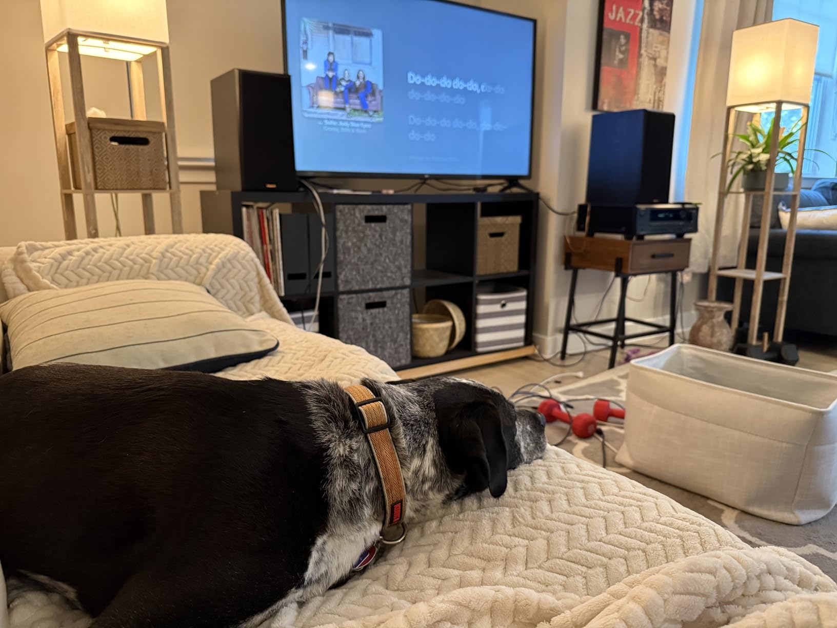 Klipsch RP-600M Reference Premiere Bookshelf Speakers - Pair (Ebony) - Customer Photo 1