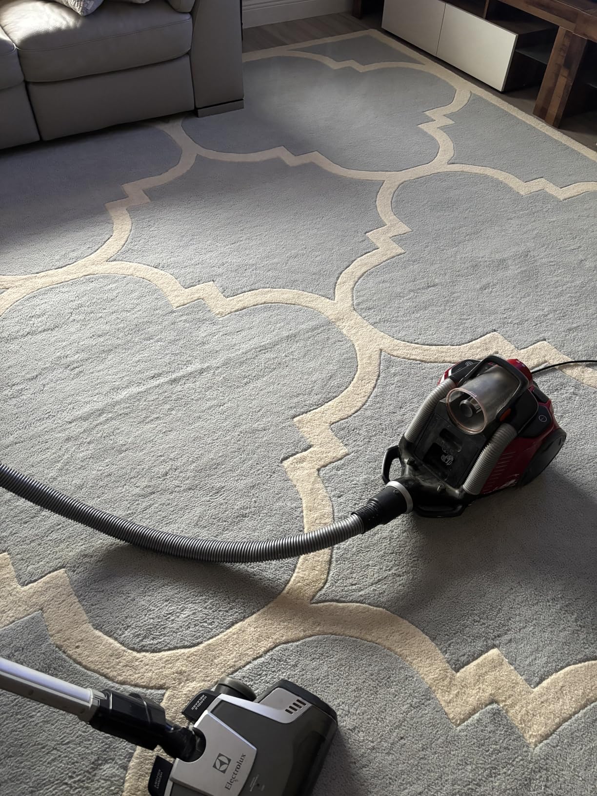 Eureka WhirlWind Bagless Canister 2.5L Vacuum Cleaner, Lightweight Vac for Carpets and Hard Floors, NEN110A, Blue - Customer Photo 3