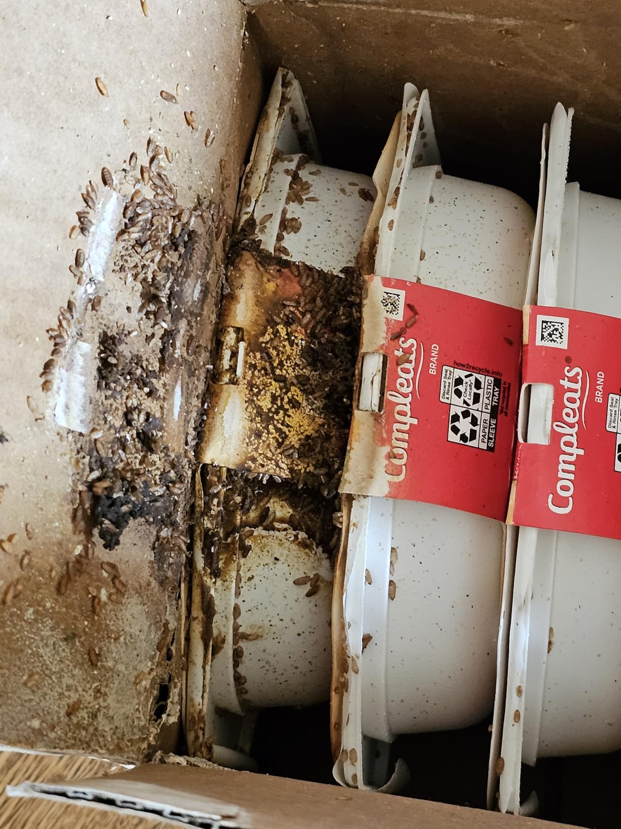 HORMEL COMPLEATS Protein Variety Pack Microwave Trays (Pack of 5) - Customer Photo 5