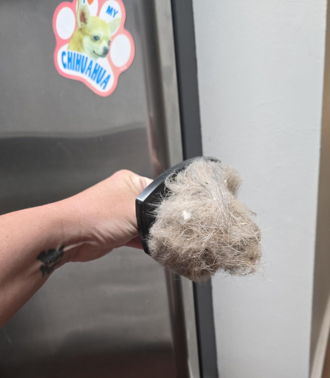 Eureka NES215A Blaze 3-in-1 Swivel Handheld & Stick Vacuum Cleaner, Blue - Customer Photo 1