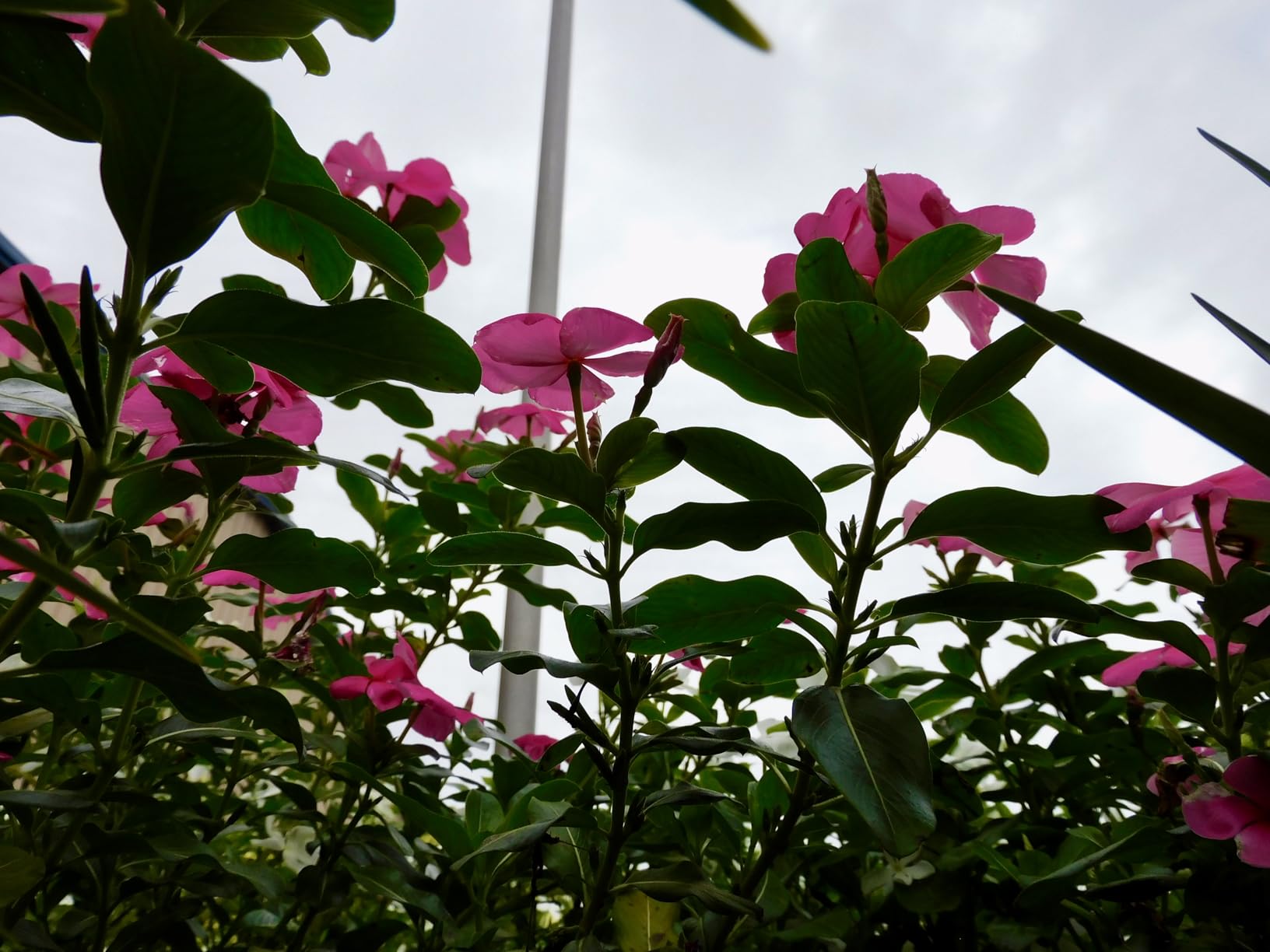 Epson Expression Premium XP-6100 Wireless Color Photo Printer with Scanner and Copier, Black, Medium Customer Review Epson Expression Premium XP-6100 Wireless Color Photo Printer with Scanner and Copier, Black, Medium - Customer Photo 2