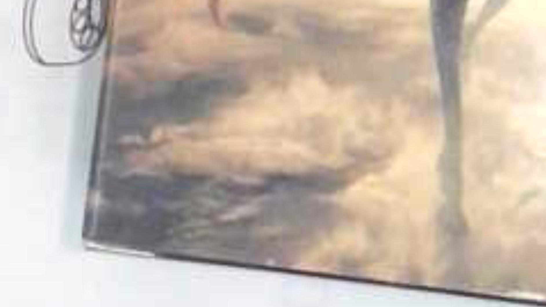 INSWAN INS-1 USB Document Camera — 8MP Ultra HD, Auto Focus, LED , Built-in Mic, Windows, Mac, iPad, Chromebook Compatible for Distance Learning, Remote Teaching, Web Conferencing, Live Demo Customer Review INSWAN INS-1 USB Document Camera — 8MP Ultra HD, Auto Focus, LED , Built-in Mic, Windows, Mac, iPad, Chromebook Compatible for Distance Learning, Remote Teaching, Web Conferencing, Live Demo - Customer Photo 1