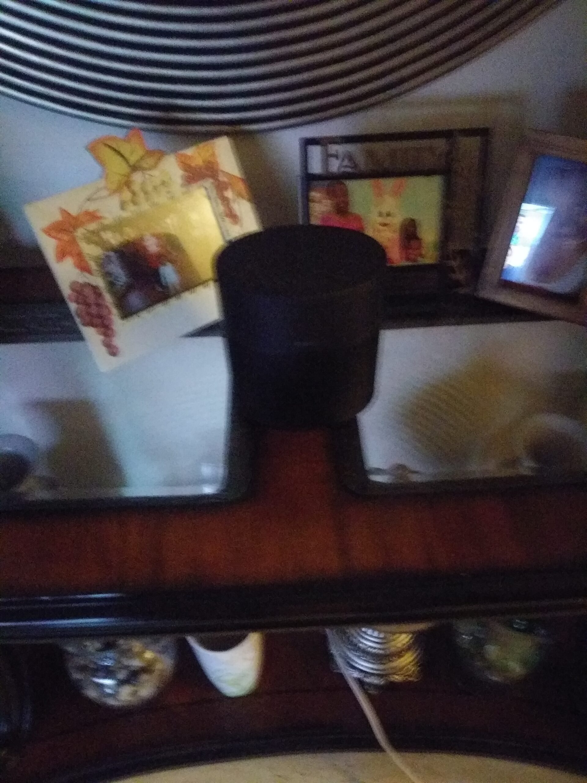 Bose Home Speaker 300: Bluetooth Smart Speaker with Amazon Alexa Built-in, Black - Customer Photo 1