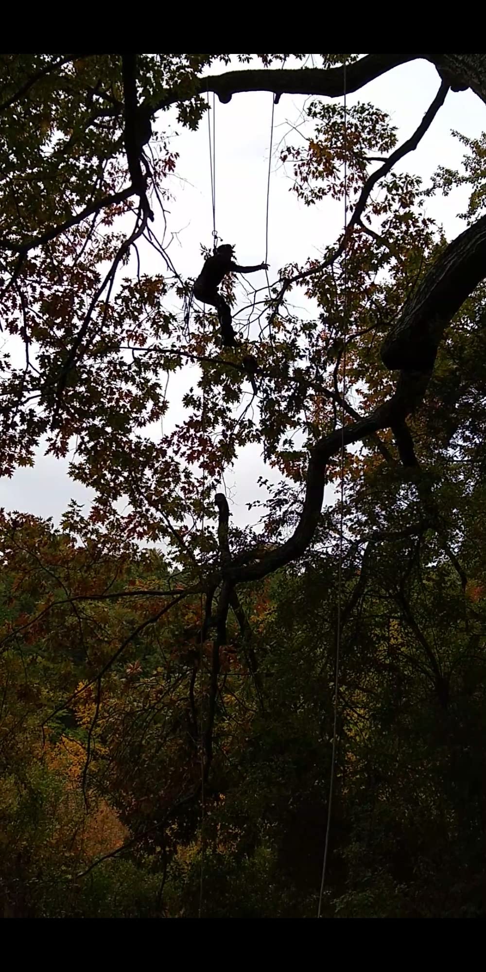 REMALI CapturePro 4K/60fps 20MP Waterproof Sports Action Camera Kit with Carrying Case + 3 Batteries, WiFi, 2 REMALI CapturePro 4K/60fps 20MP Waterproof Sports Action Camera Kit with Carrying Case + 3 Batteries, WiFi, 2