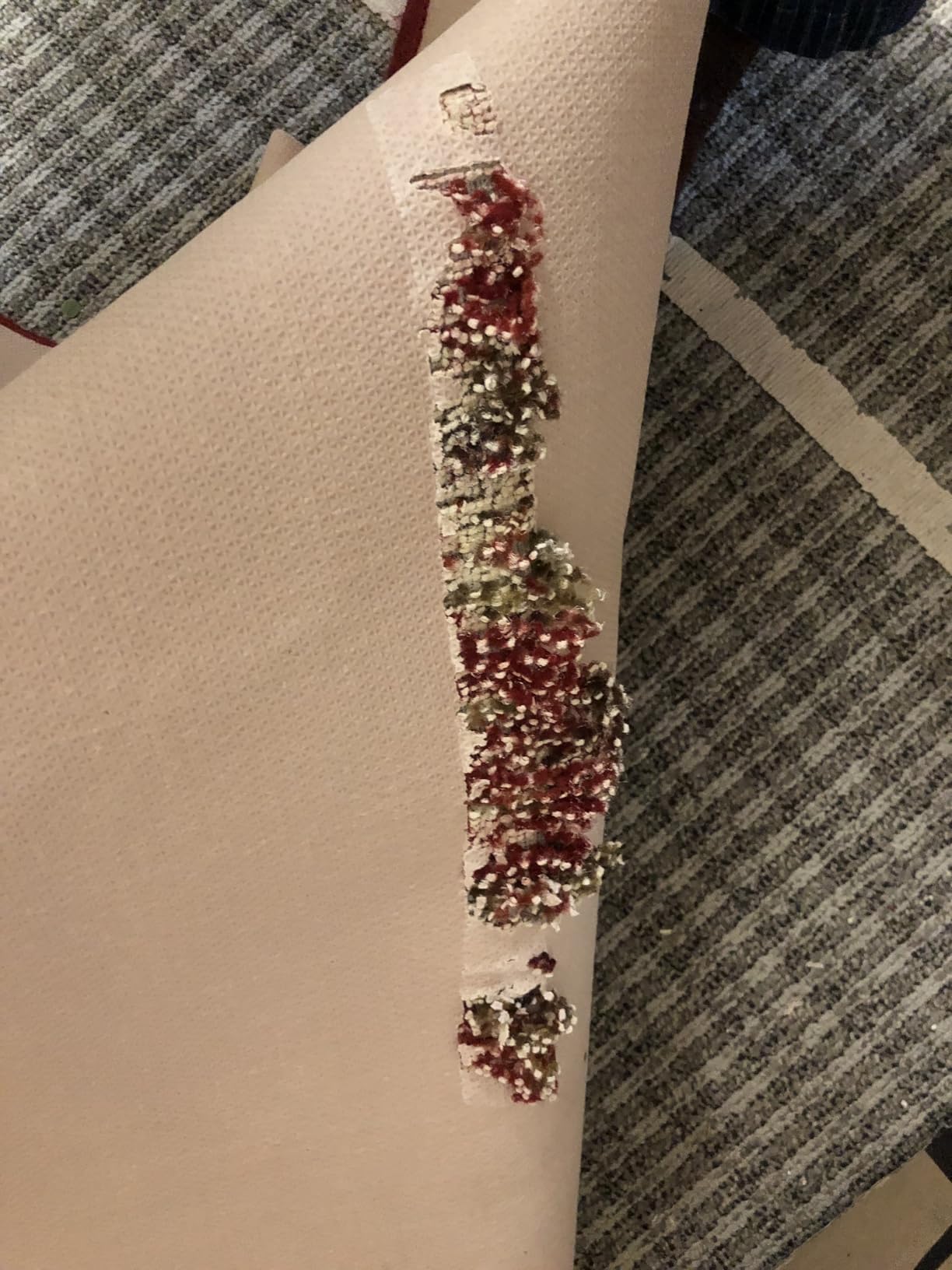 ALIEN TAPE Double Sided Tape Heavy Duty, Nano Tape, Double Sided Mounting Tape, Heavy Duty Double Sided Tape for Walls, Wall Tape, Clear Adhesive Tape for Poster Photo Wall Décor As Seen on TV 30 Feet - Customer Photo 1