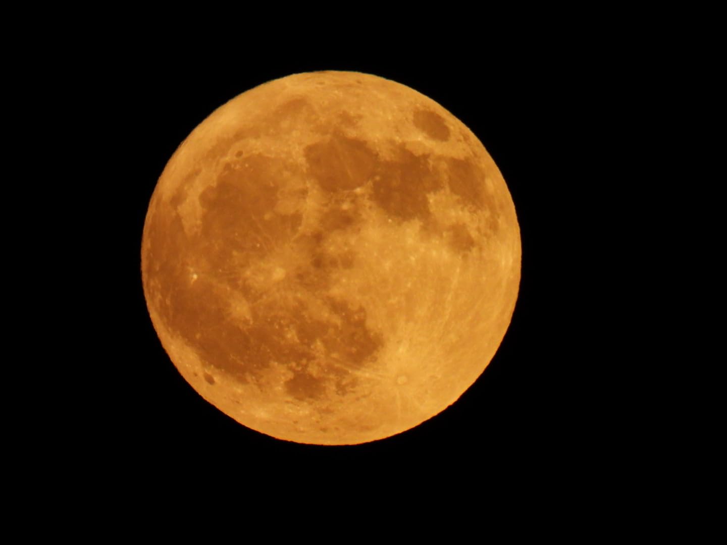 NIkon COOLPIX P950 Superzoom Digital Camera | 83x Optical Zoom with Image Stabilization 16 MP 4K Ultra HD Video Wi-Fi Connectivity RAW Format and Rotating LCD Screen (Black) Customer Review NIkon COOLPIX P950 Superzoom Digital Camera | 83x Optical Zoom with Image Stabilization 16 MP 4K Ultra HD Video Wi-Fi Connectivity RAW Format and Rotating LCD Screen (Black) - Customer Photo 1