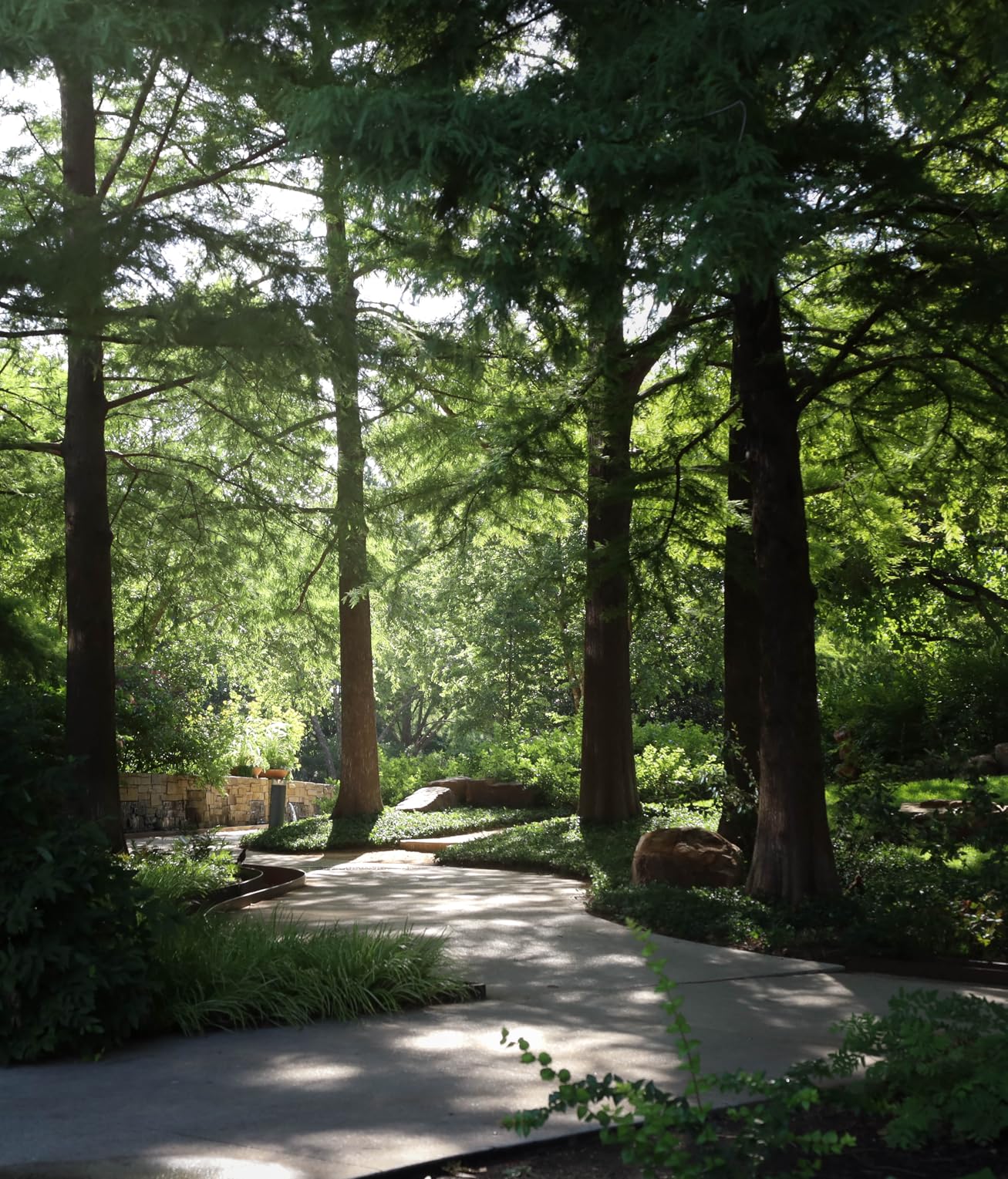 Canon EOS RP Full-Frame Mirrorless Interchangeable Lens Camera + RF24-105mm Lens F4-7.1 is STM Lens Kit- Compact and Lightweight for Traveling and Vlogging, Black Customer Review Canon EOS RP Full-Frame Mirrorless Interchangeable Lens Camera + RF24-105mm Lens F4-7.1 is STM Lens Kit- Compact and Lightweight for Traveling and Vlogging, Black - Customer Photo 1