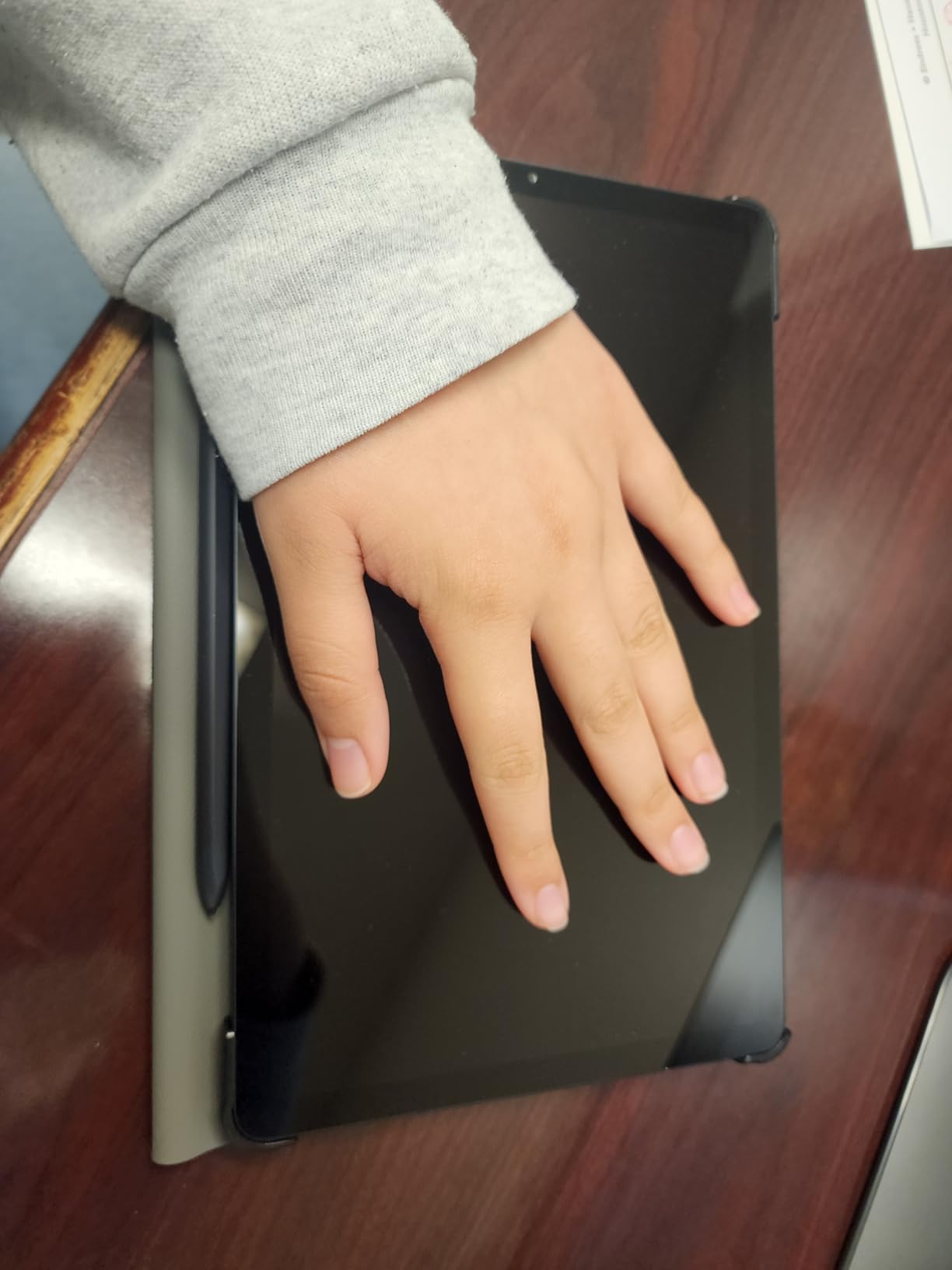 SAMSUNG Galaxy Tab S6 Lite 10.4