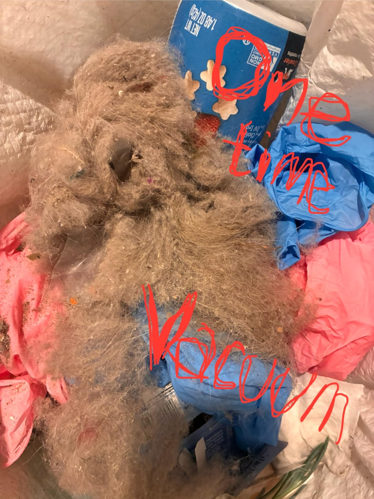 Shark IZ163H Pet Plus Cordless Stick Vacuum with Self-Cleaning Brushroll and HEPA Filter, Lightweight Deep Cleaning Vacuum for Carpet and Hard Floors, Folds for Easy Storage, 40-min Runtime, Raspberry - Customer Photo 2