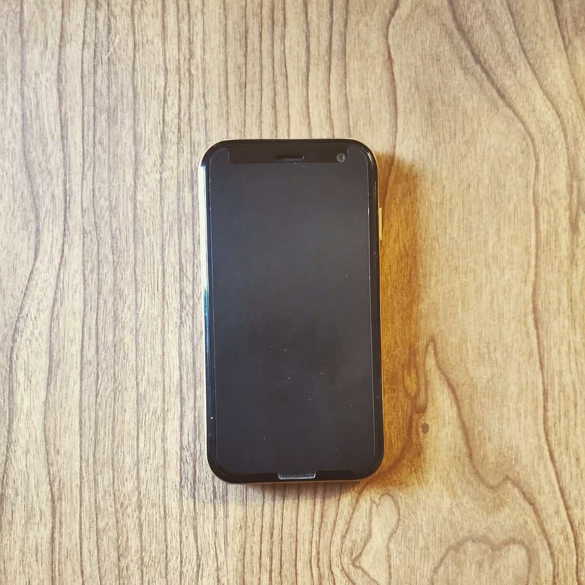 Palm Phone PVG100 (The Small Premium Unlocked Phone) with 32GB Memory and 12MP Camera (Gold) Customer Review Palm Phone PVG100 (The Small Premium Unlocked Phone) with 32GB Memory and 12MP Camera (Gold) - Customer Photo 1