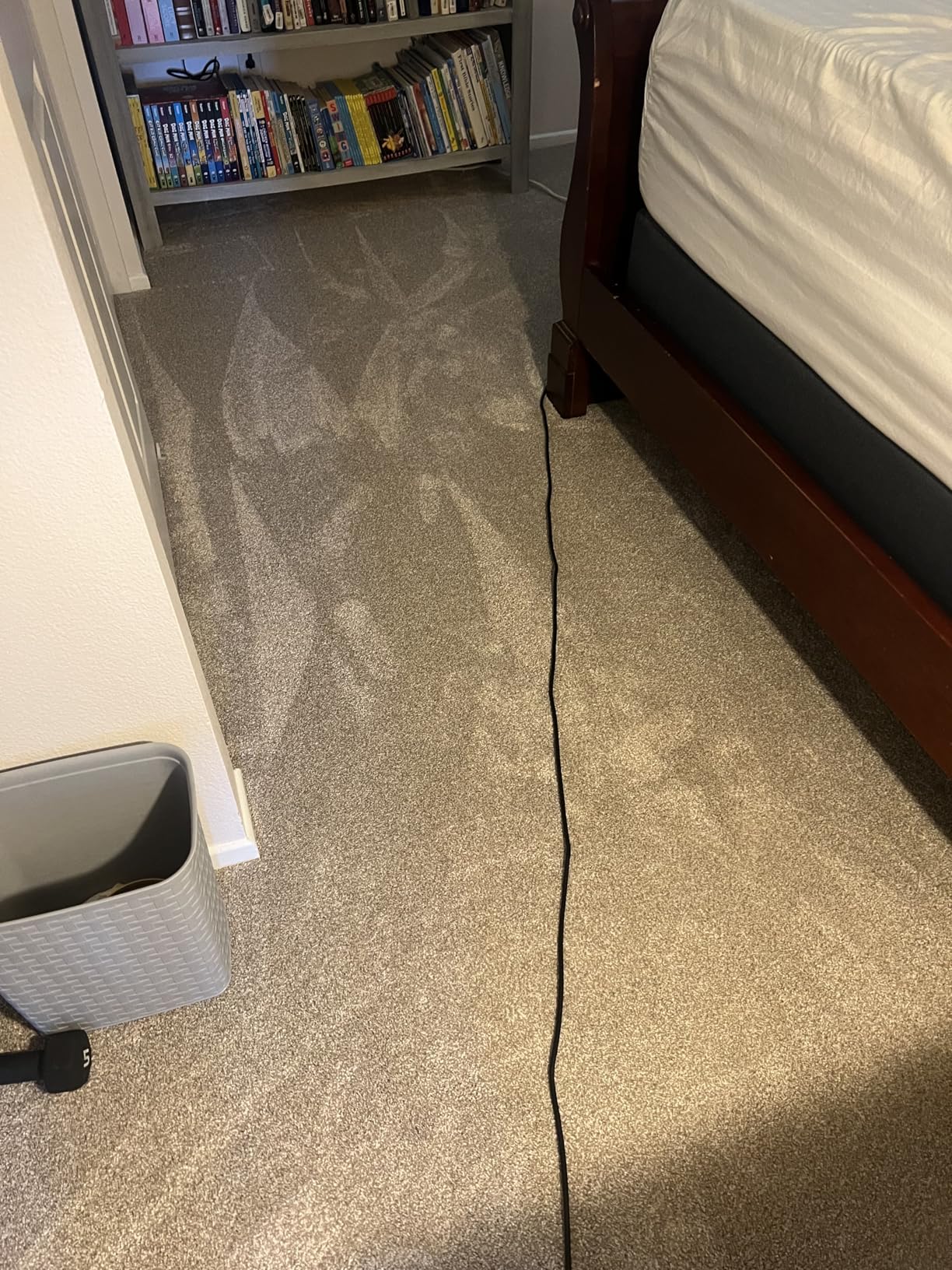 Shark | Upright Vacuum Cleaner for Home | Rotator Lift-Away | No Hair Wrap | HEPA Filter | Lightweight Bagless Vacuum for Pet Hair | LED Headlights For Carpets & Hardwood Floors | Silver | LA502 - Customer Photo 2