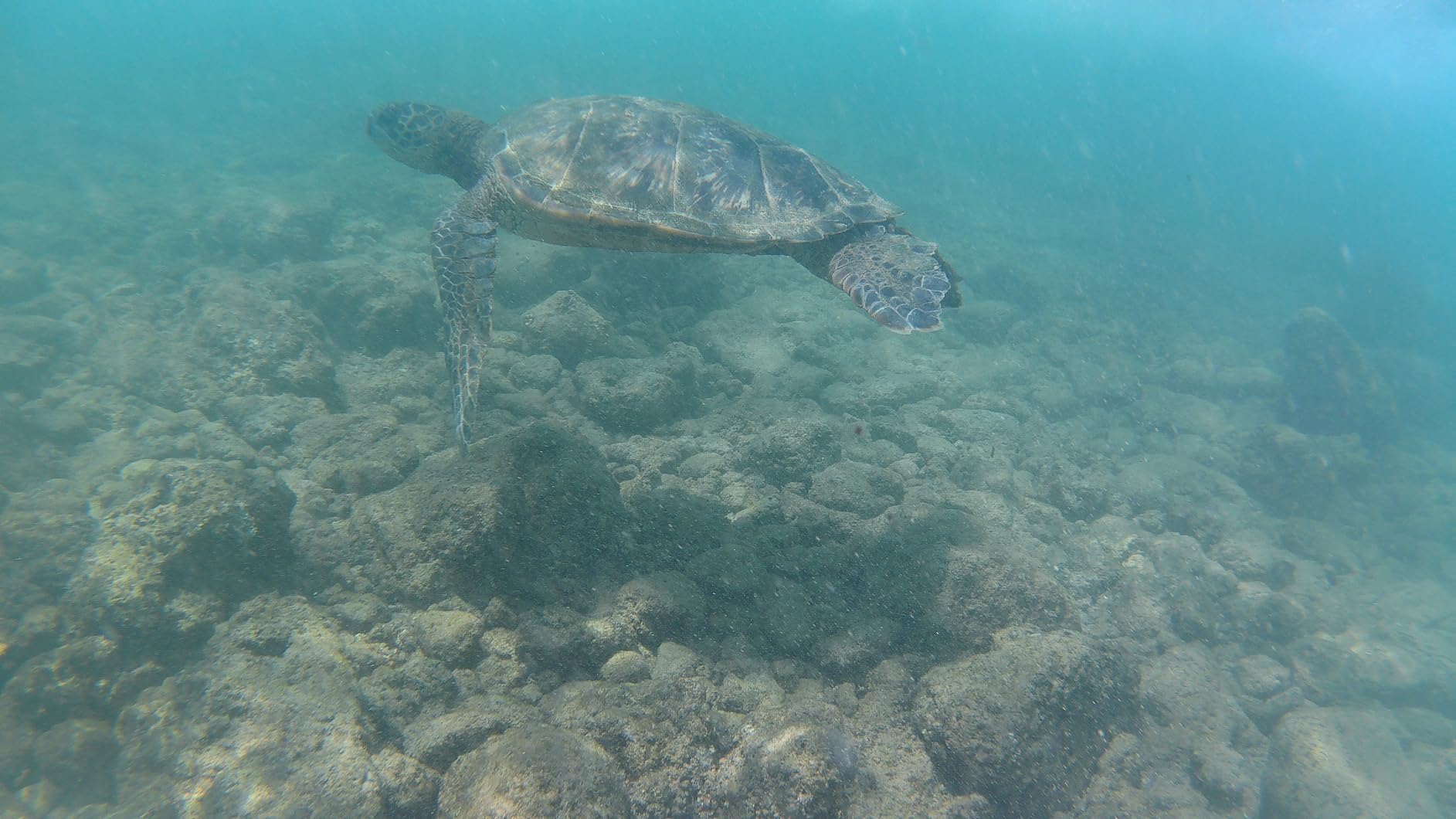 AKASO Brave 7 LE 4K30FPS 20MP WiFi Action Camera with Touch Screen EIS 2.0 Zoom Remote Control 131 Feet Underwater Camera with 2X 1350mAh Batteries Support External Microphone Vlog Camera Customer Review AKASO Brave 7 LE 4K30FPS 20MP WiFi Action Camera with Touch Screen EIS 2.0 Zoom Remote Control 131 Feet Underwater Camera with 2X 1350mAh Batteries Support External Microphone Vlog Camera - Customer Photo 1