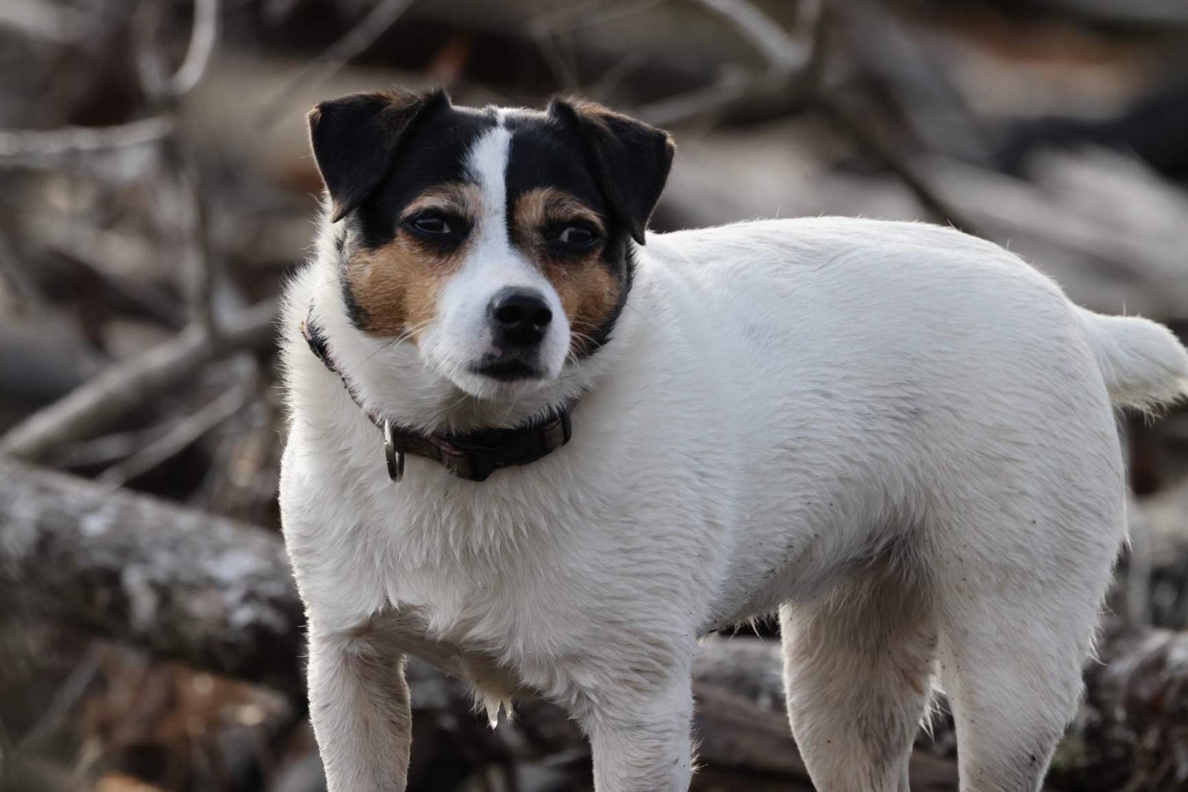 Canon EOS R5 Mirrorless Camera (Body Only), Full-Frame Hybrid Camera, 8K Video, 45 Megapixel CMOS Sensor, DIGIC X Image Processor, Up to 12 FPS, RF Mount, Black Customer Review Canon EOS R5 Mirrorless Camera (Body Only), Full-Frame Hybrid Camera, 8K Video, 45 Megapixel CMOS Sensor, DIGIC X Image Processor, Up to 12 FPS, RF Mount, Black - Customer Photo 2