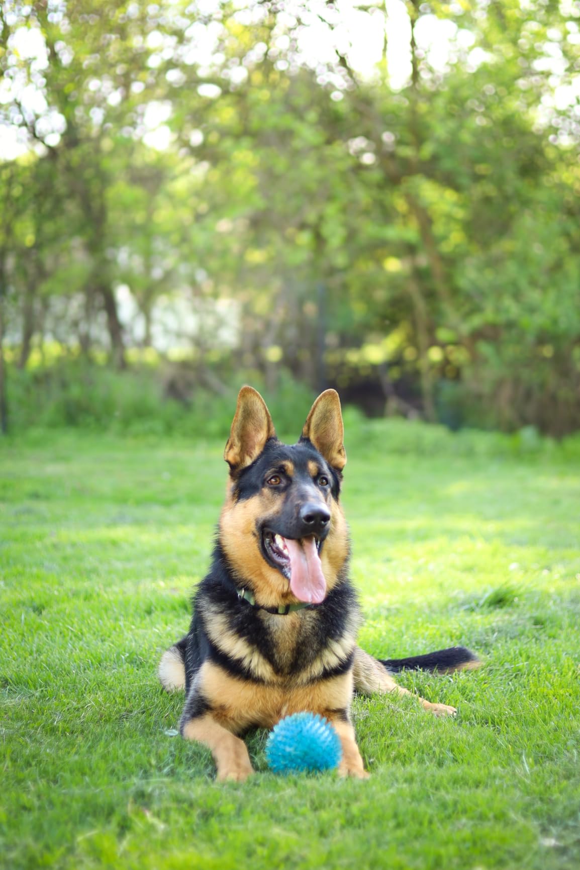 Canon EOS RP Full-Frame Mirrorless Interchangeable Lens Camera + RF24-105mm Lens F4-7.1 is STM Lens Kit- Compact and Lightweight for Traveling and Vlogging, Black (3380C132) (Renewed) Customer Review Canon EOS RP Full-Frame Mirrorless Interchangeable Lens Camera + RF24-105mm Lens F4-7.1 is STM Lens Kit- Compact and Lightweight for Traveling and Vlogging, Black (3380C132) (Renewed) - Customer Photo 2