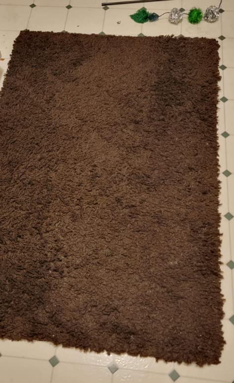 Kenmore Bagless Upright Vacuum 2-Motor Power Suction Lightweight Carpet Cleaner with 10'Hose, HEPA Filter, 2 Cleaning Tools for Pet Hair, Hardwood Floor, Green, 2 Liters - Customer Photo 1