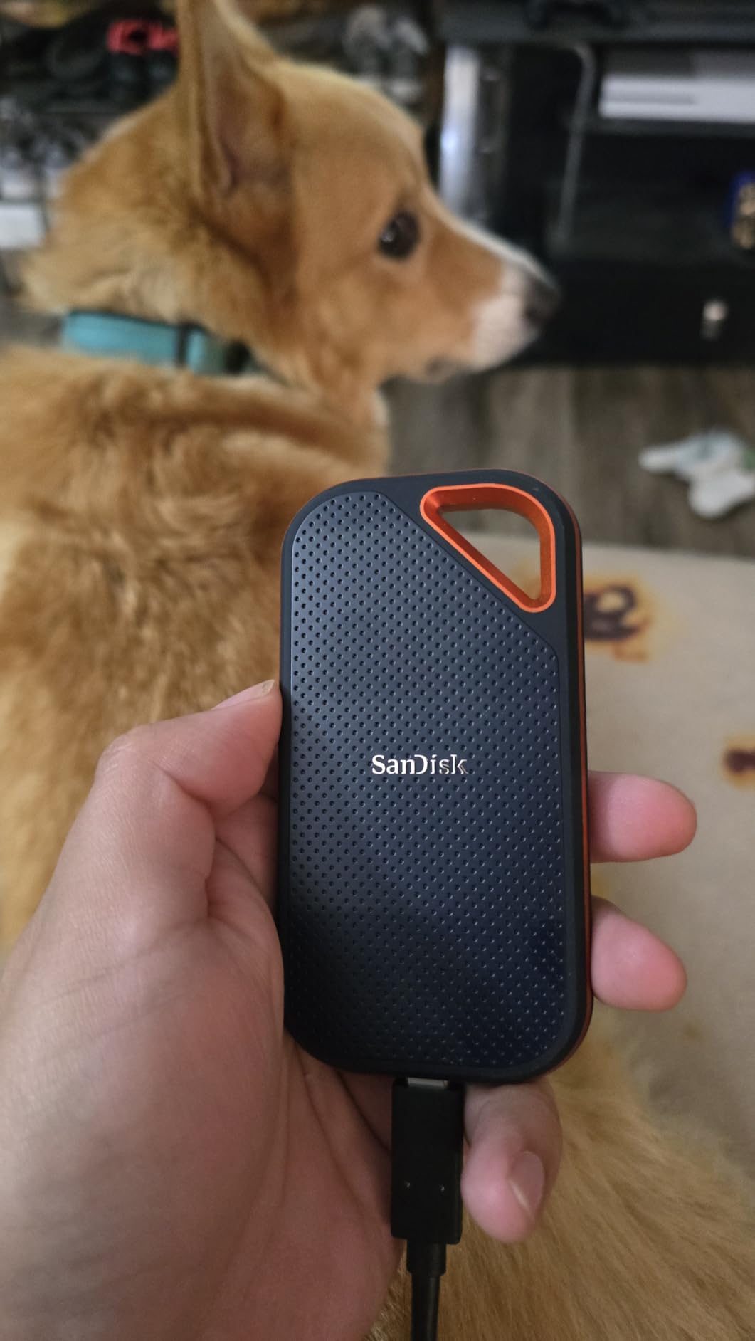 SanDisk 1TB Extreme PRO Portable SSD - Up to 2000MB/s - USB-C, USB 3.2 Gen 2x2, IP65 Water and Dust Resistance, Updated Firmware - External Solid State Drive - SDSSDE81-1T00-G25 - Customer Photo 1