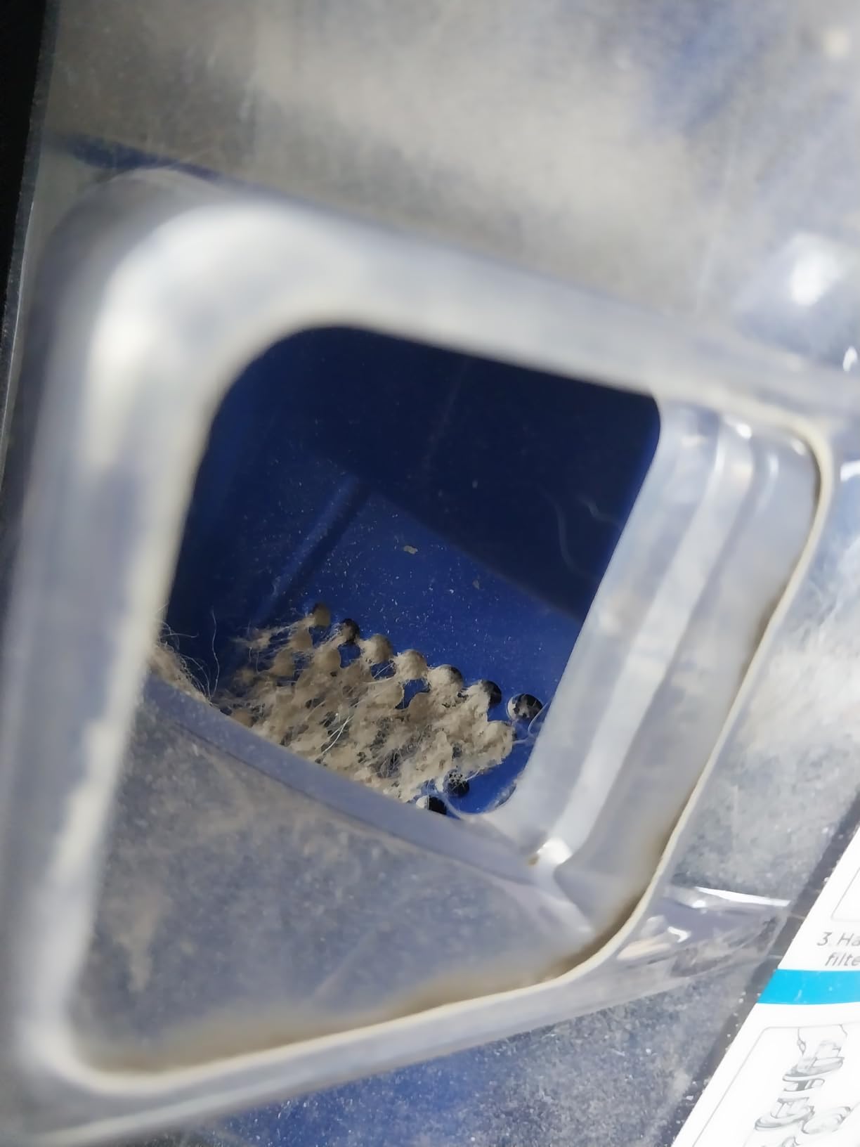 Eureka Lightweight Powerful Upright Vacuum Cleaner for Carpet and Hard Floor, PowerSpeed, New Model,Blue,black/New Model Customer Review Eureka Lightweight Powerful Upright Vacuum Cleaner for Carpet and Hard Floor, PowerSpeed, New Model,Blue,black/New Model - Customer Photo 3