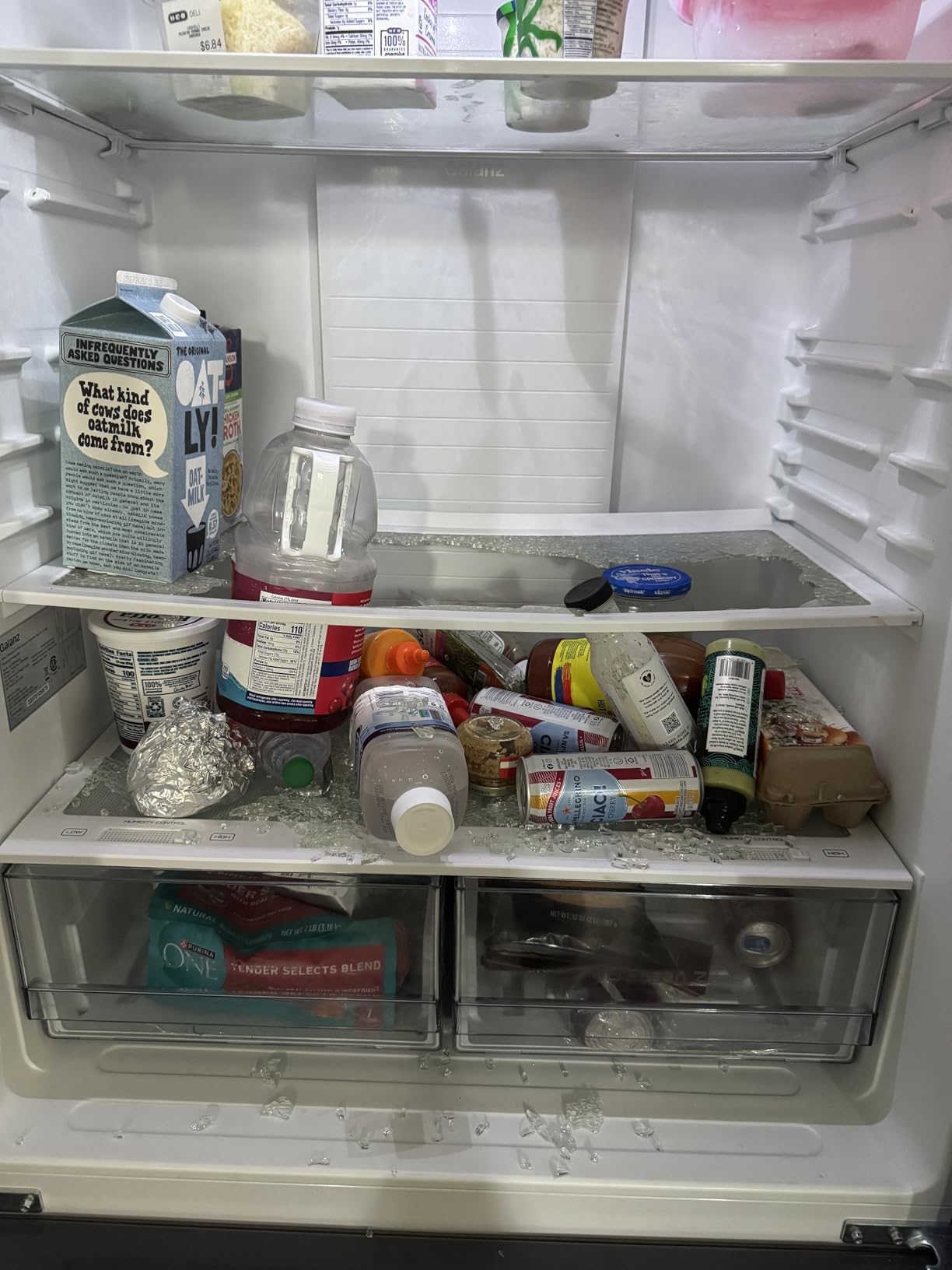 Galanz GLR18FS5S16 French Door Refrigerator with Installed Ice Maker and Bottom Freezer Adjustable Electrical Thermostat Control, Frost Free, Energy Star Certified, Stainless Steel, 18 Cu Ft Customer Review Galanz GLR18FS5S16 French Door Refrigerator with Installed Ice Maker and Bottom Freezer Adjustable Electrical Thermostat Control, Frost Free, Energy Star Certified, Stainless Steel, 18 Cu Ft - Customer Photo 2