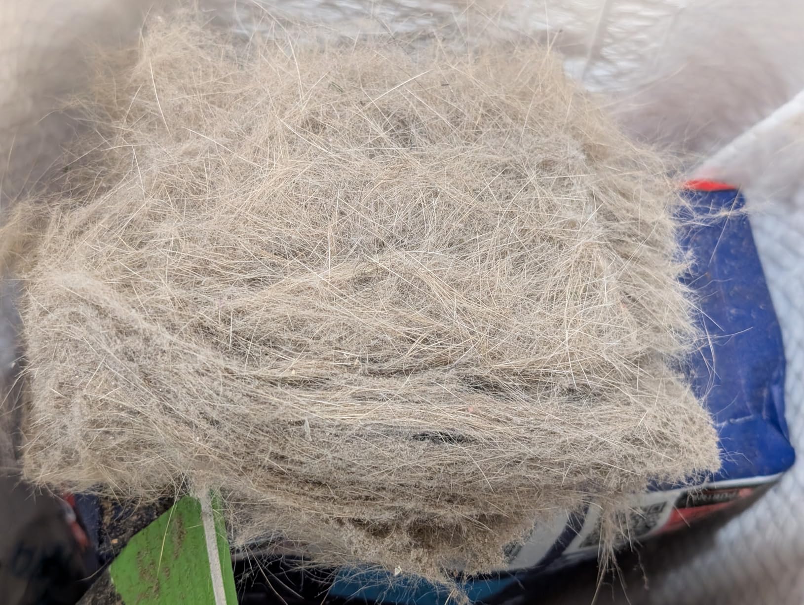 Lefant Robot Vacuum Cleaner, Strong Suction, 120 Mins Runtime, Slim, Low Noise, Automatic Self-Charging, Wi-Fi/App/Alexa Control, Ideal for Pet Hair Hard Floor and Daily Cleaning, M210 - Customer Photo 4