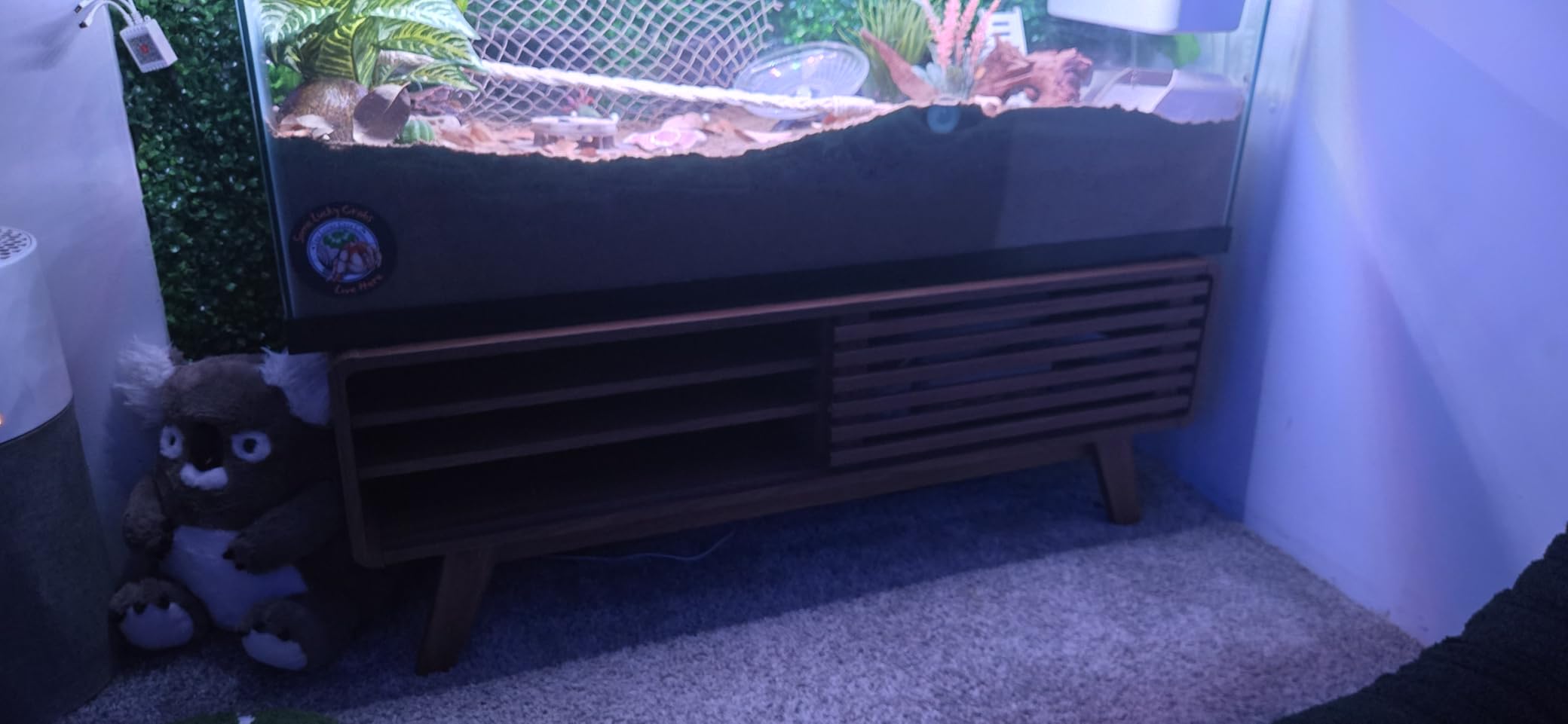 mopio Ensley TV Stand, Mid Century Modern for 55/60/65 inch TV, Farmhouse TV Stand, Entertainment Center with Storage, TV and Media Console for Living Room (Walnut, 59